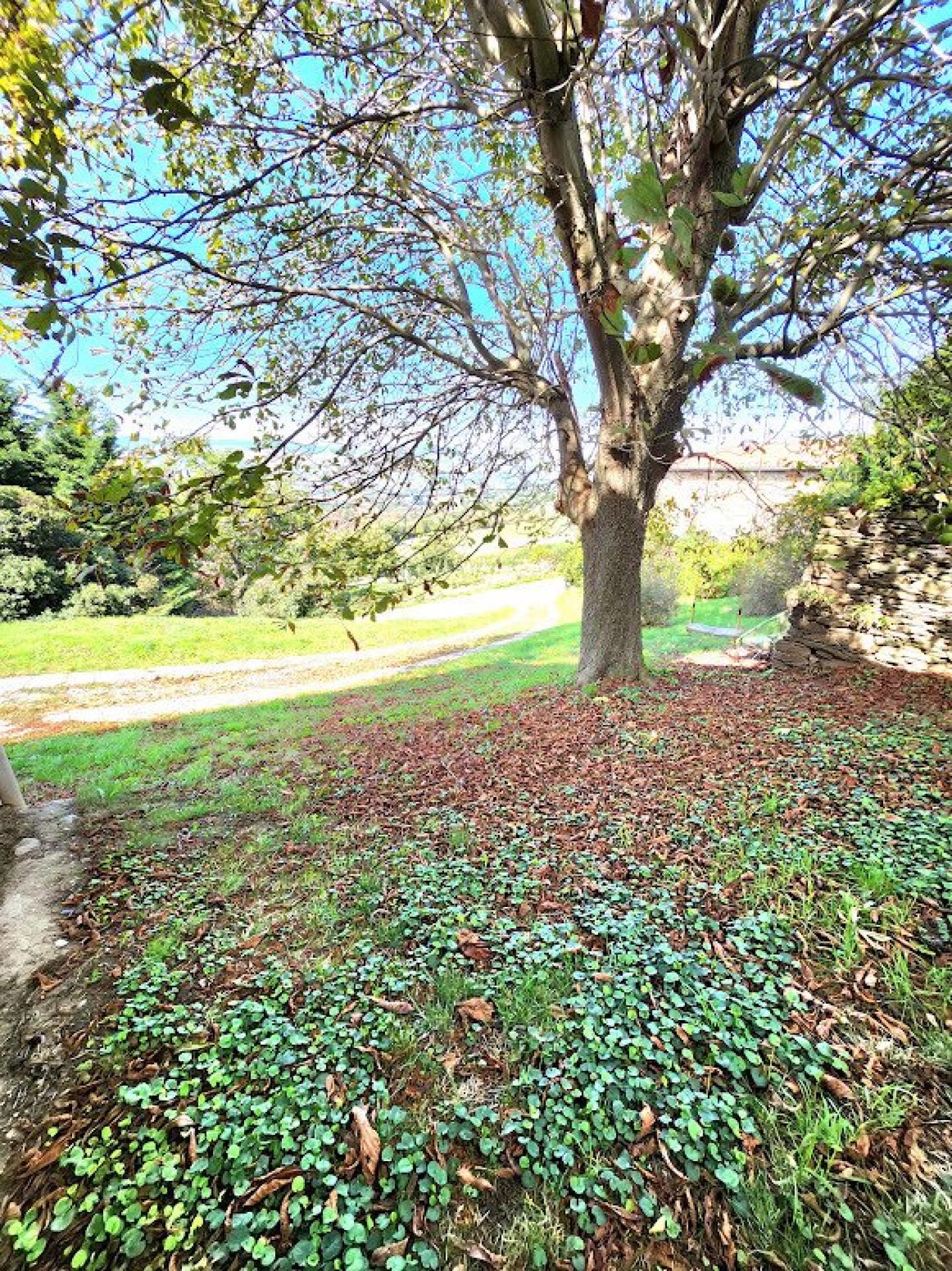 Photo 4 de l'annonce.