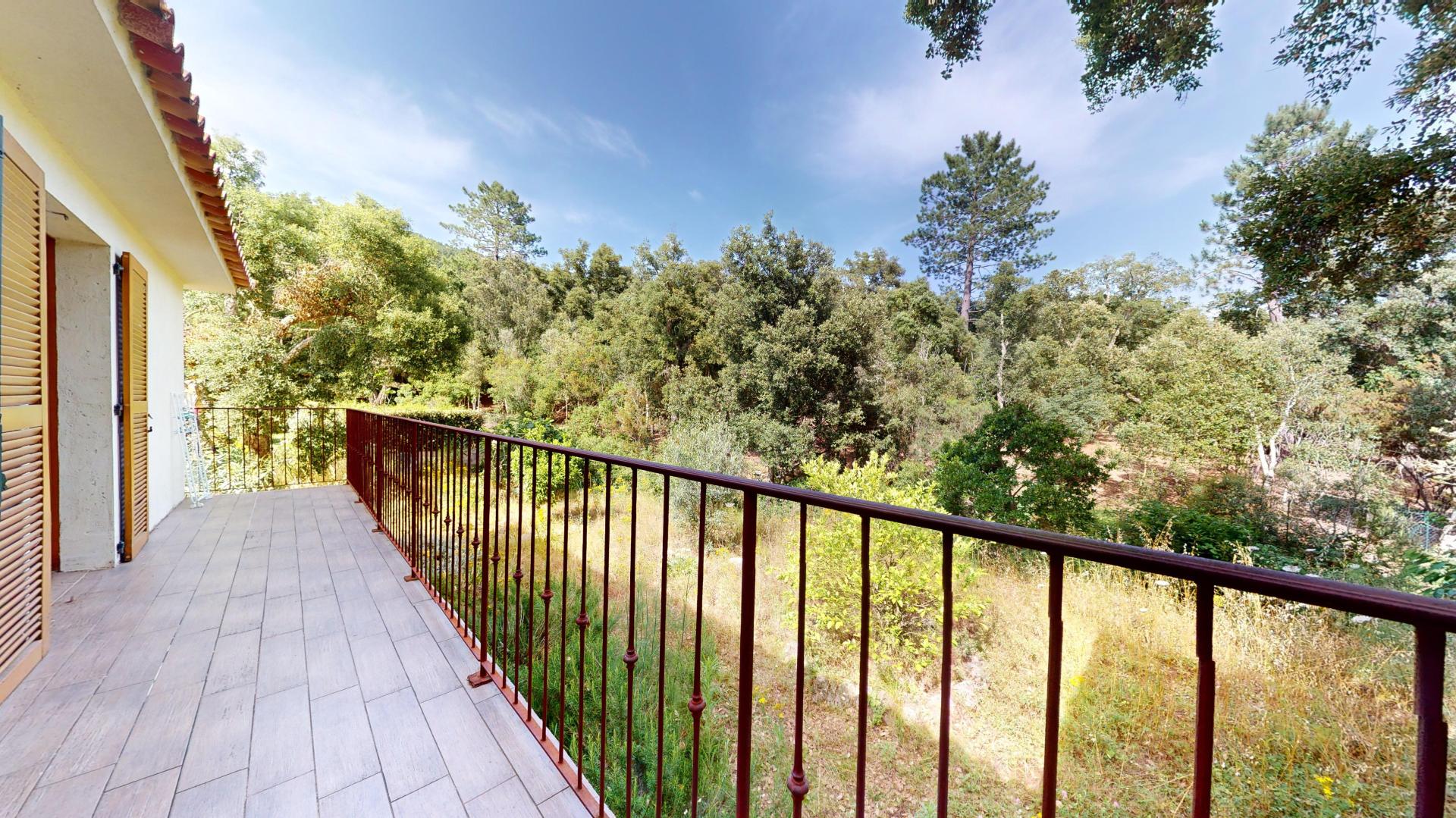 Photo 13 de l'annonce.