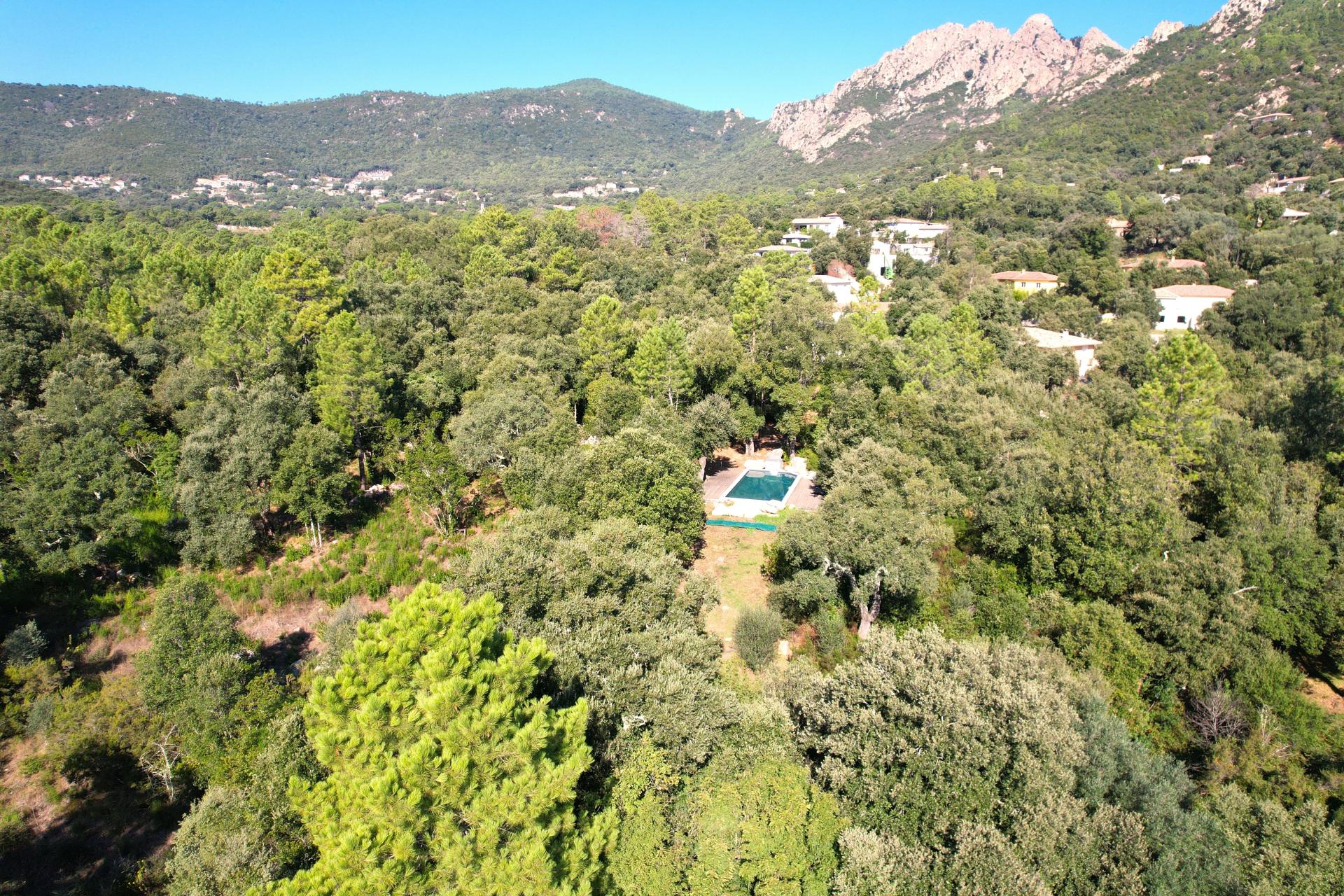 Photo 3 de l'annonce.