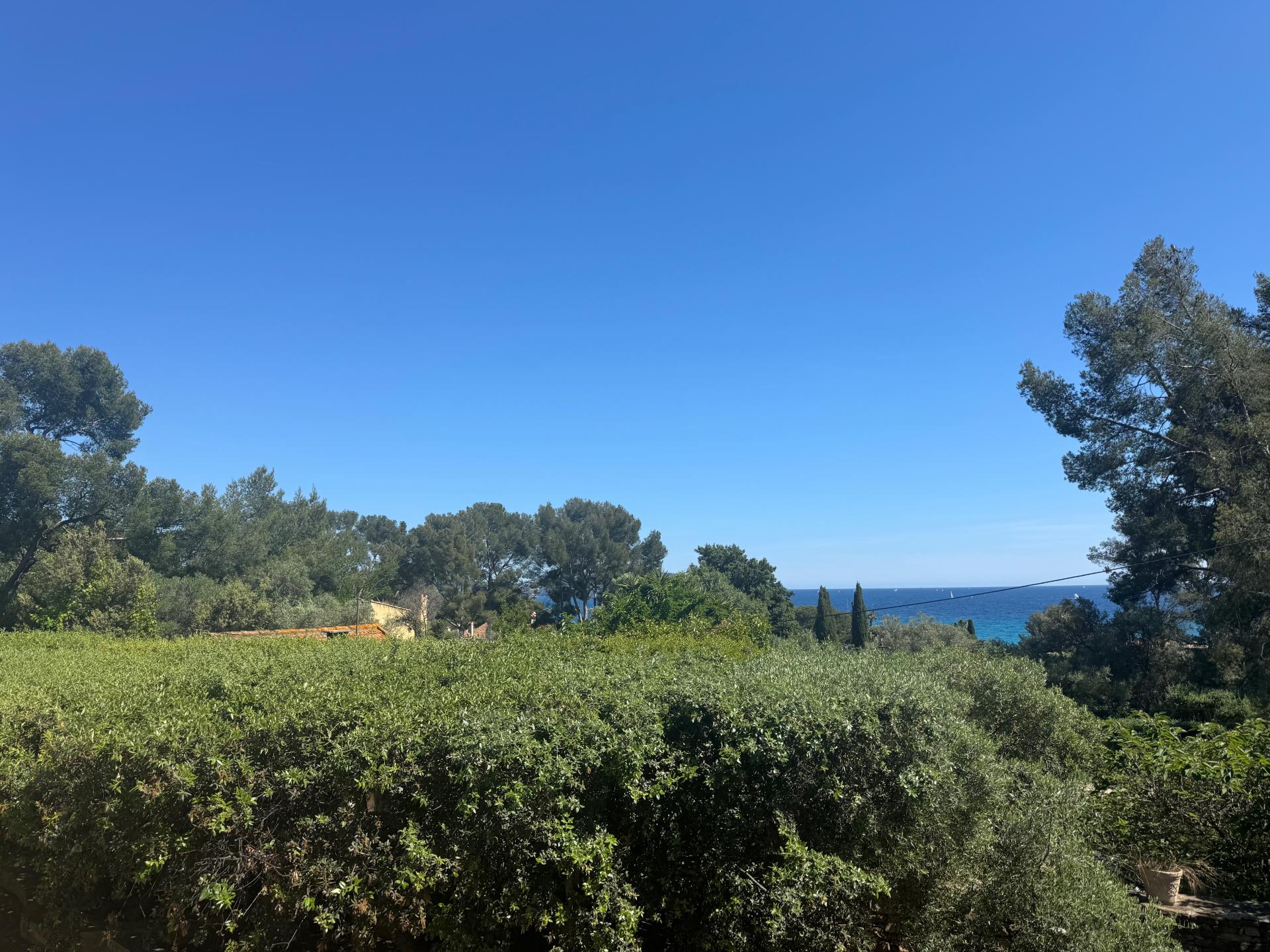 Photo 13 de l'annonce.