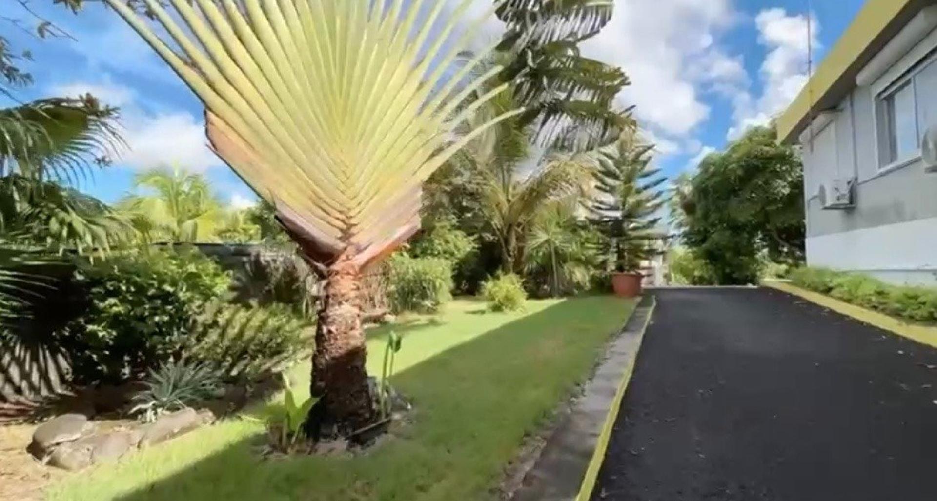 Photo 17 de l'annonce.