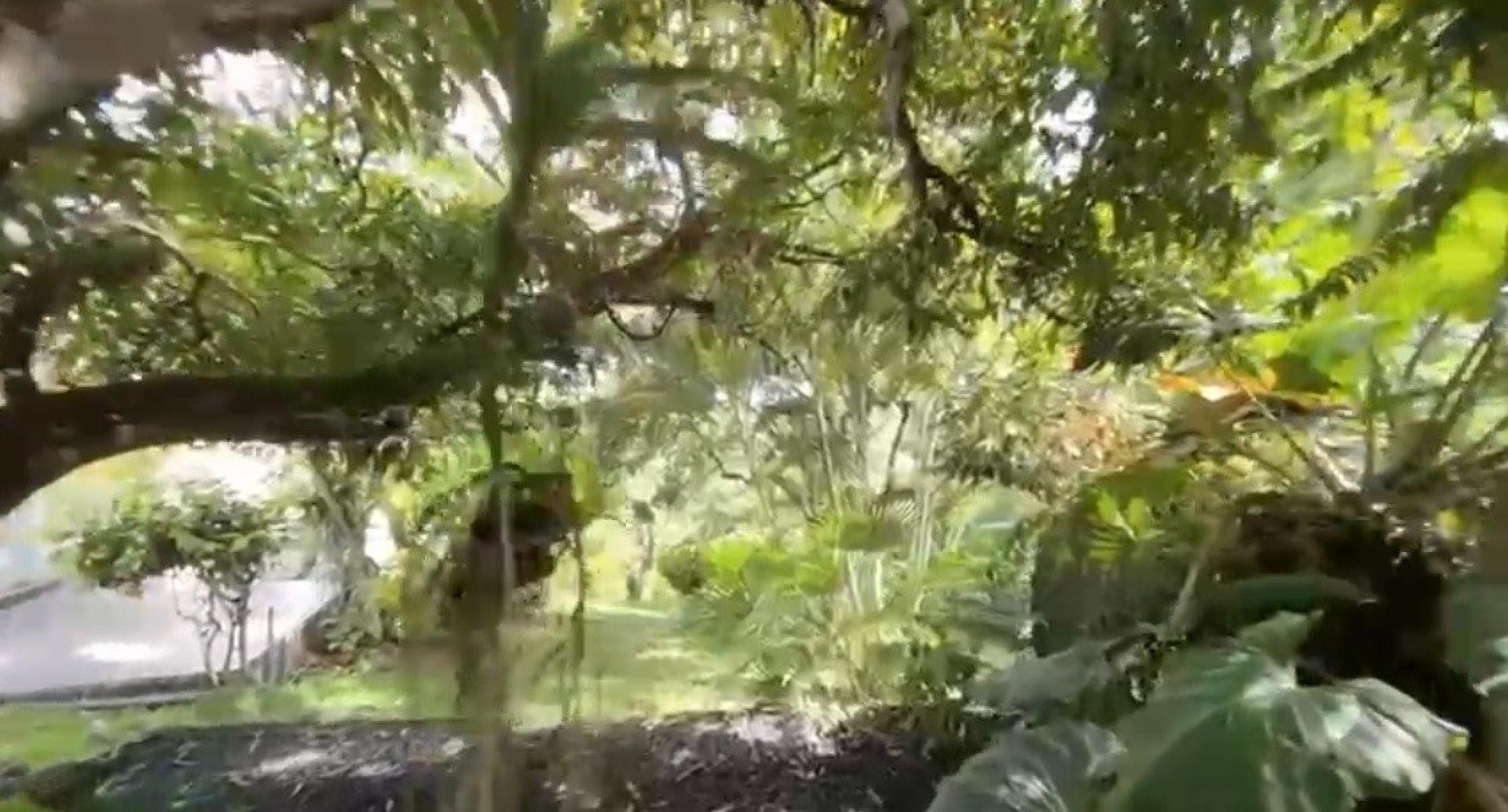 Photo 19 de l'annonce.