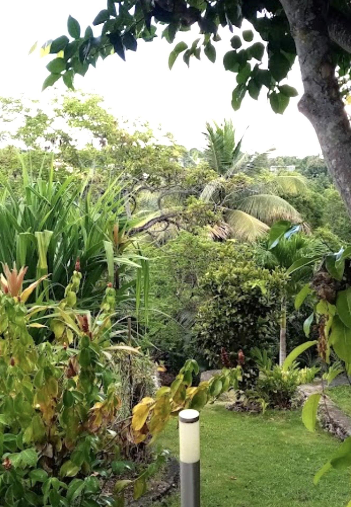 Photo 3 de l'annonce.