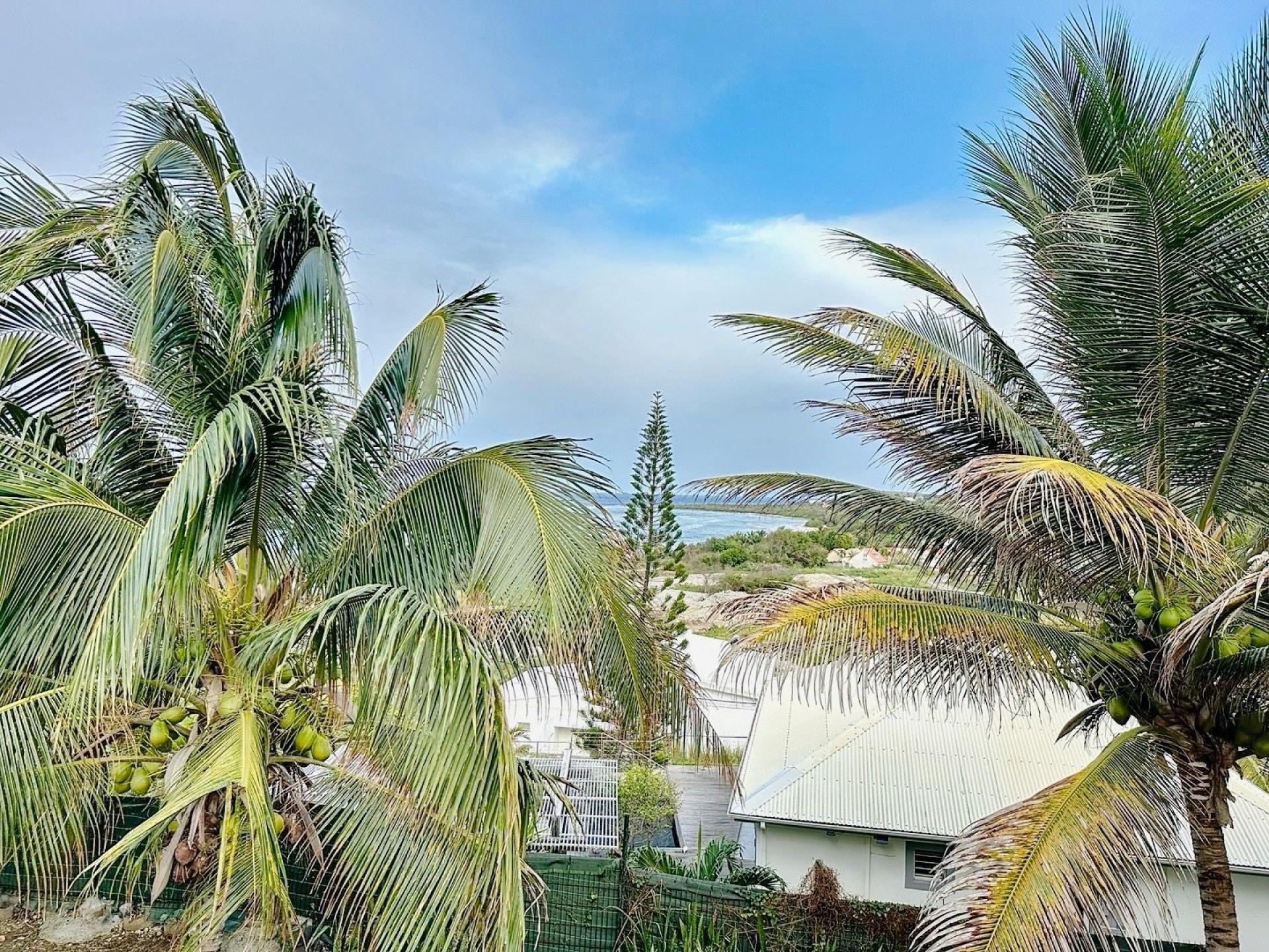 Photo 3 de l'annonce.