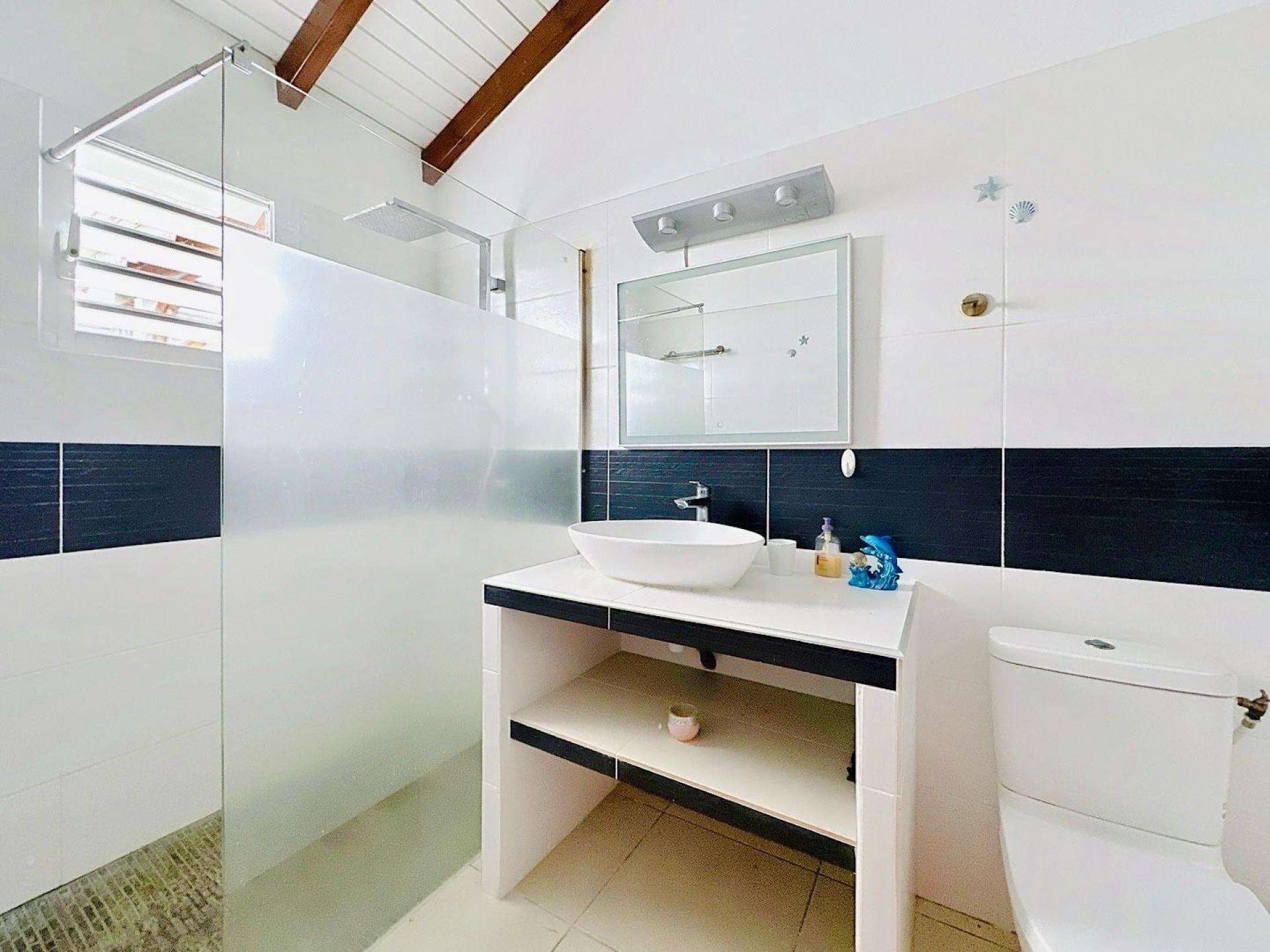 Photo 8 de l'annonce.