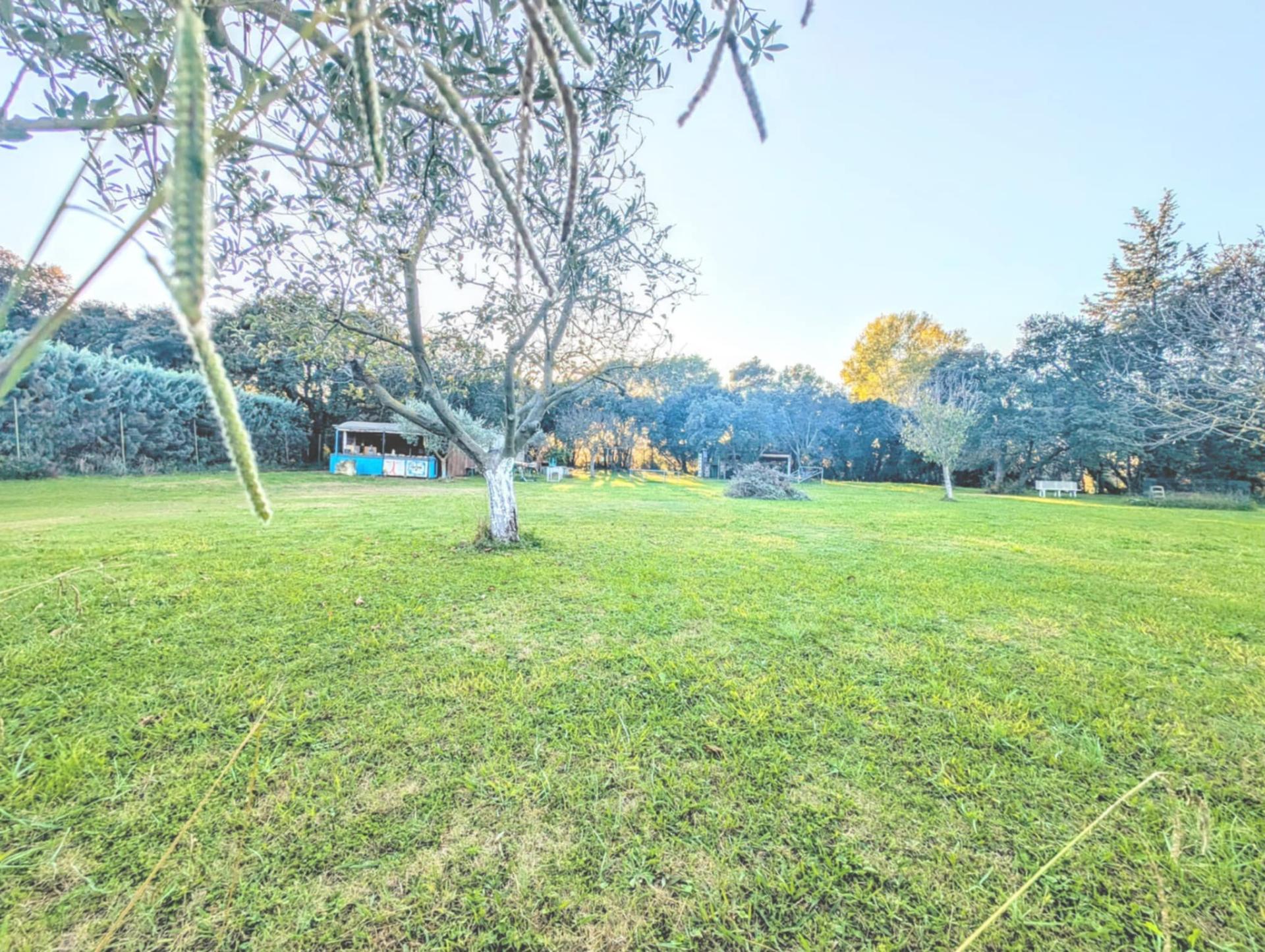 Photo 3 de l'annonce.