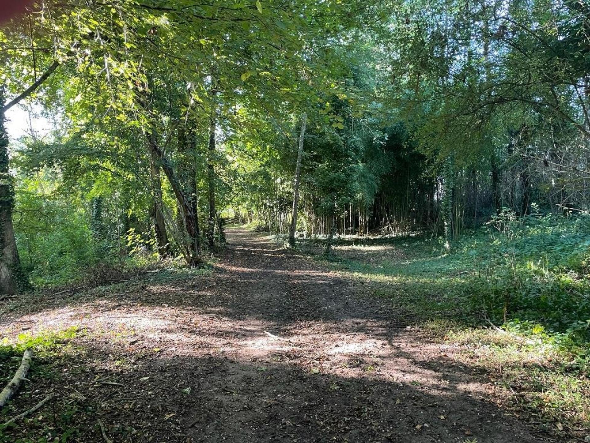 Photo 14 de l'annonce.