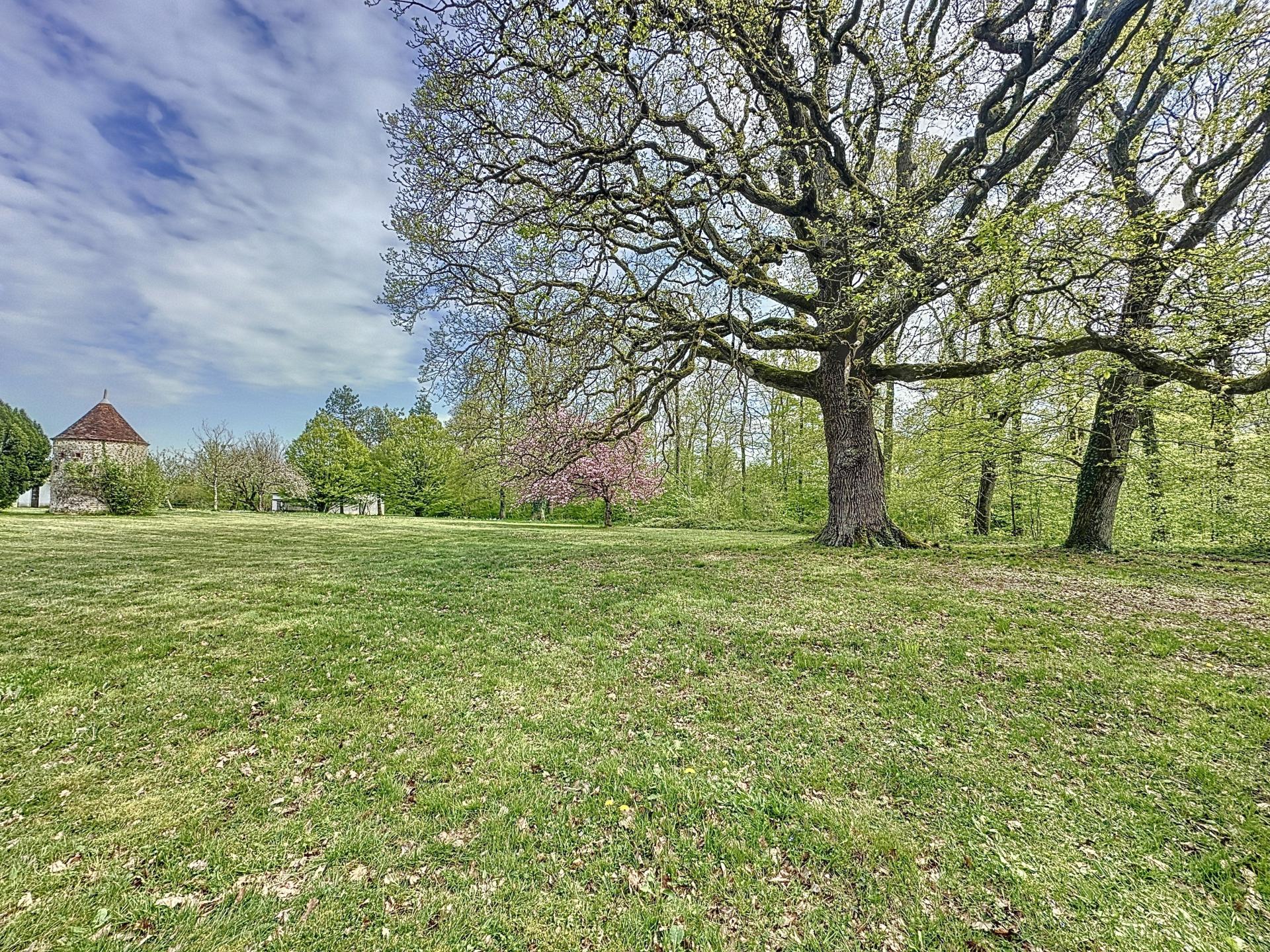 Photo 15 de l'annonce.