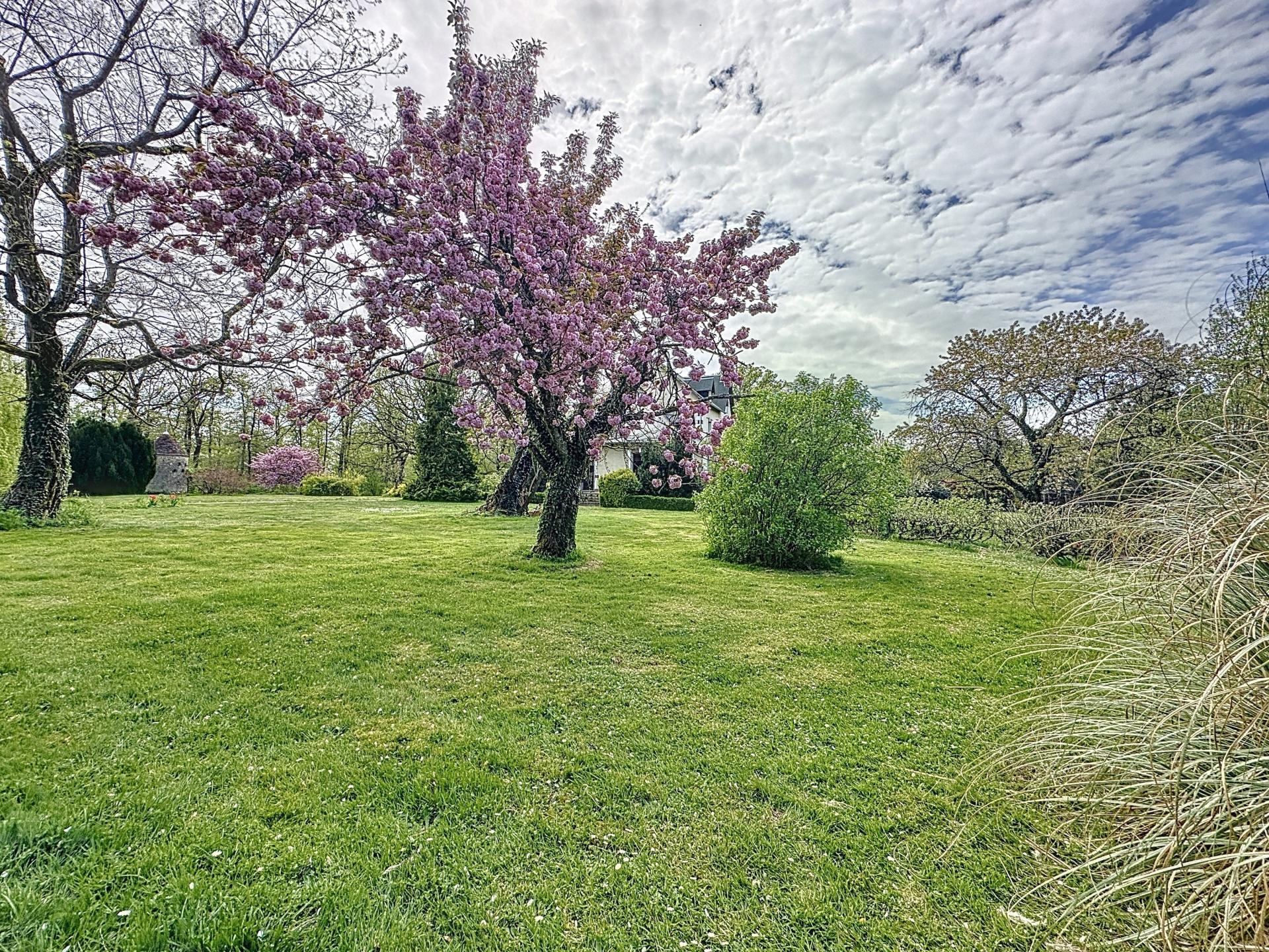 Photo 11 de l'annonce.