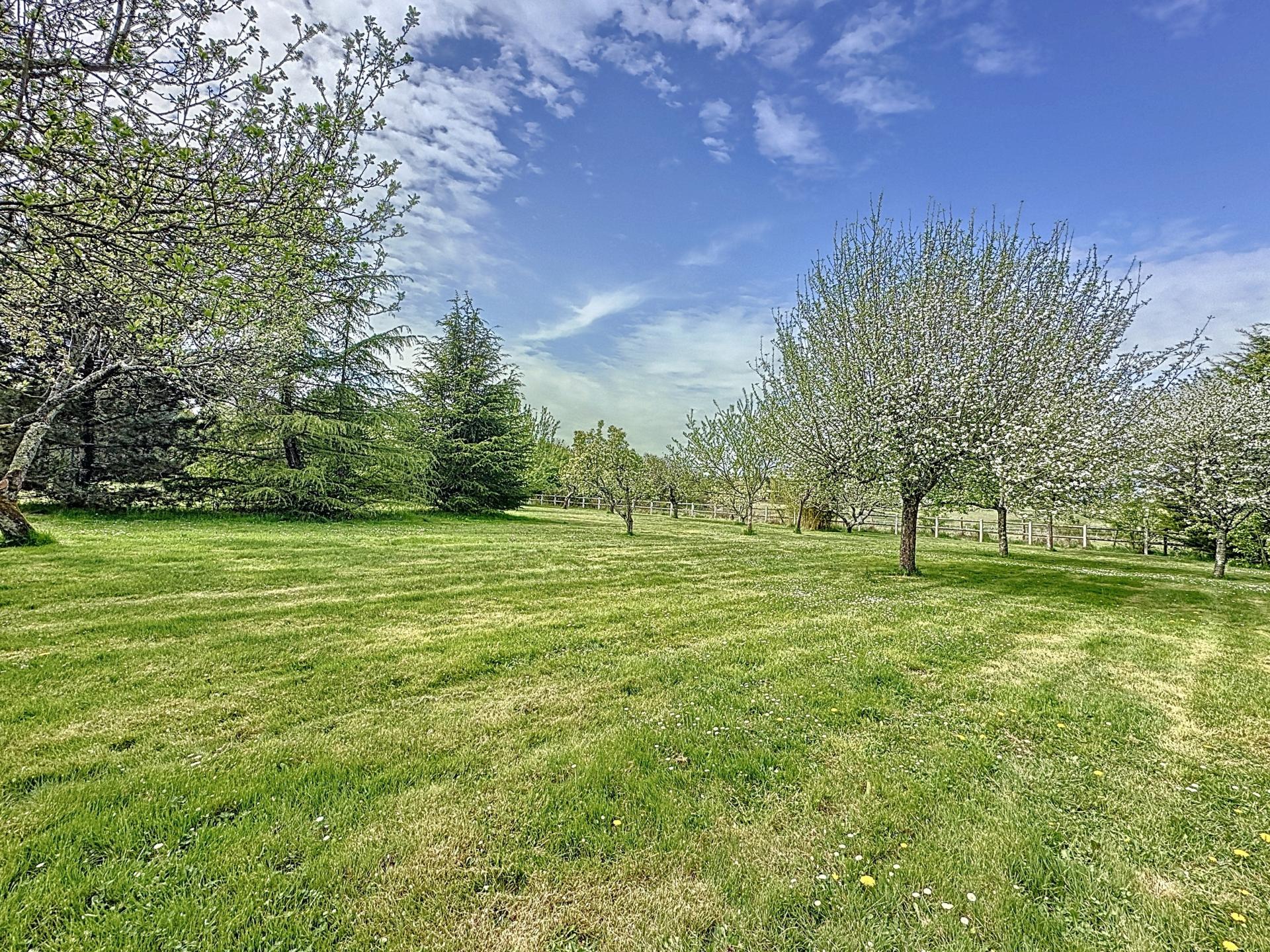 Photo 12 de l'annonce.