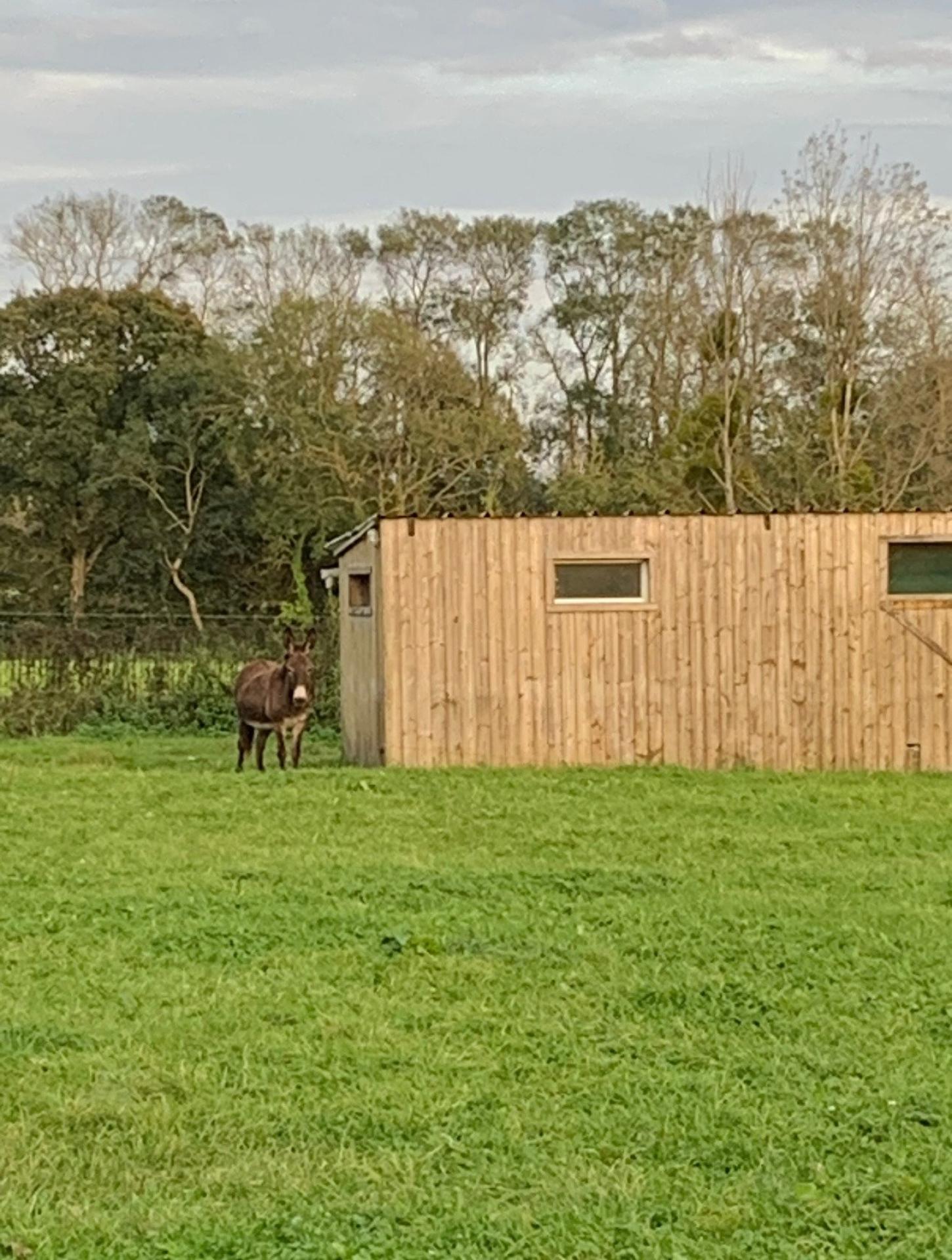 Photo 7 of the listing.