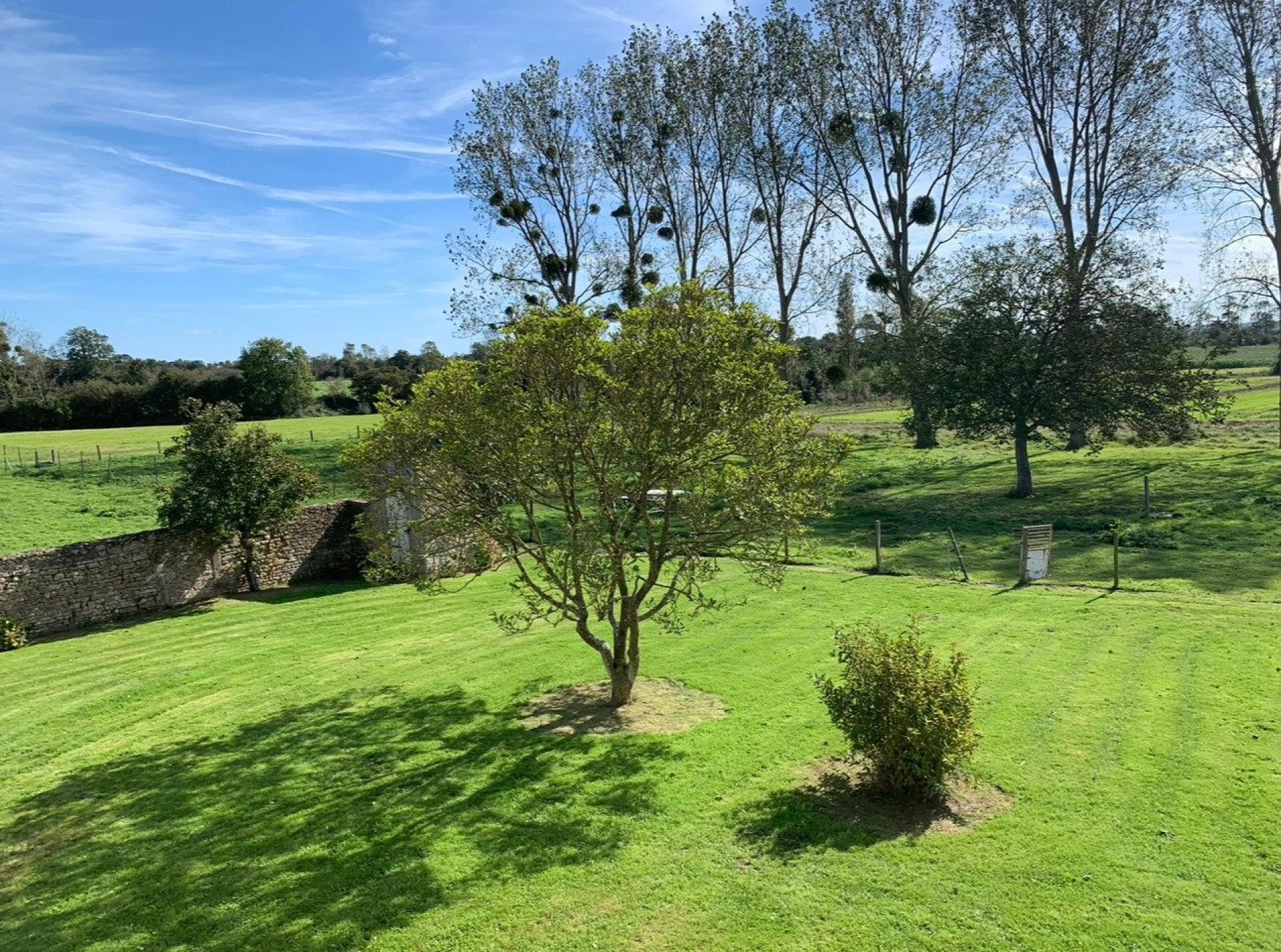 Photo 18 of the listing.