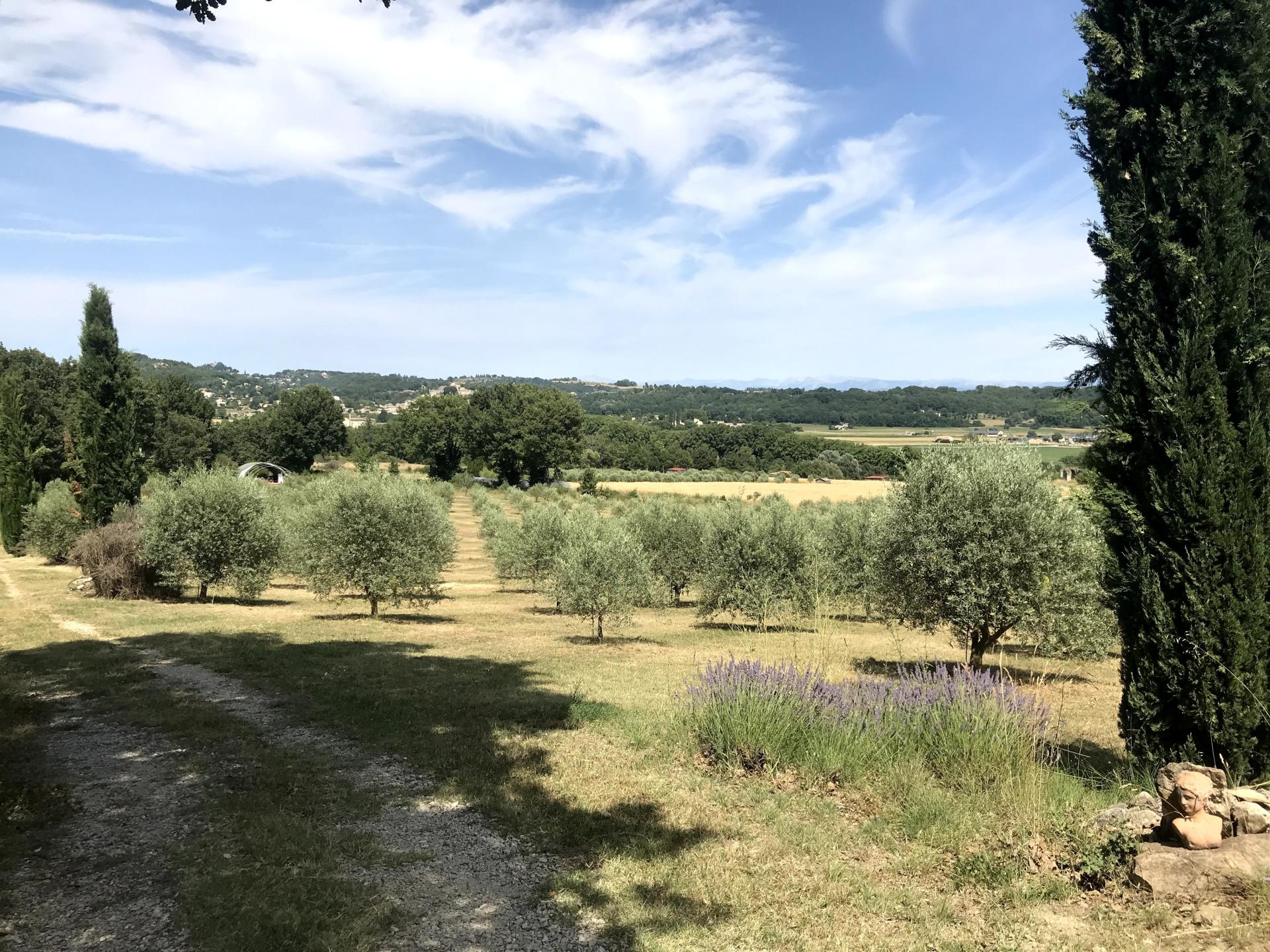 Photo 10 of the listing.