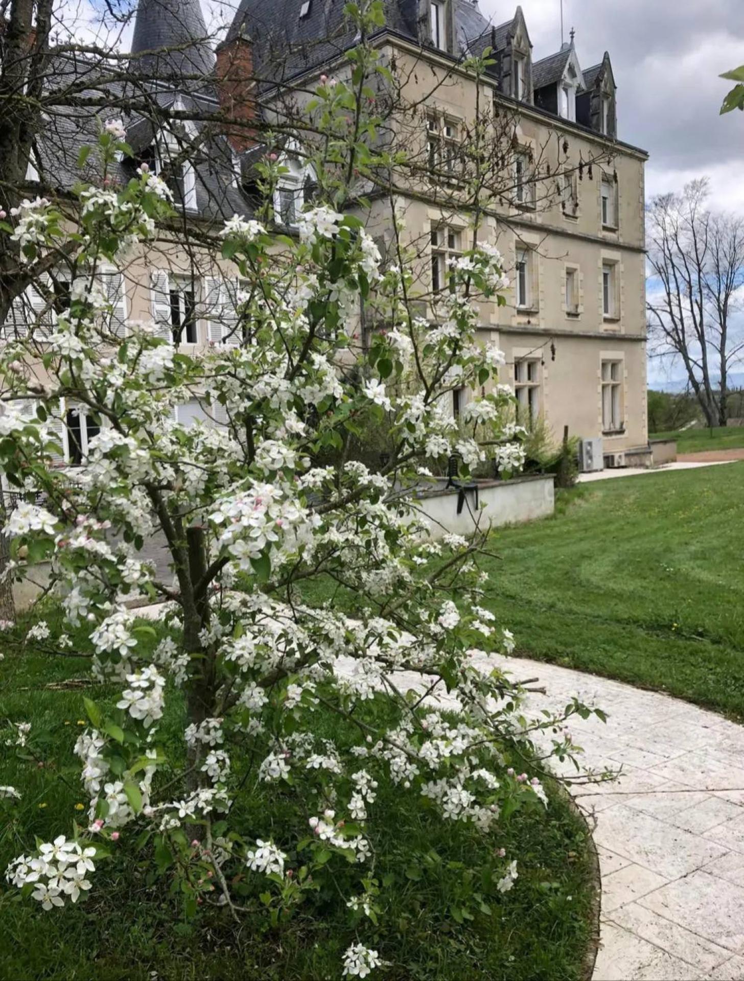 Photo 6 de l'annonce.