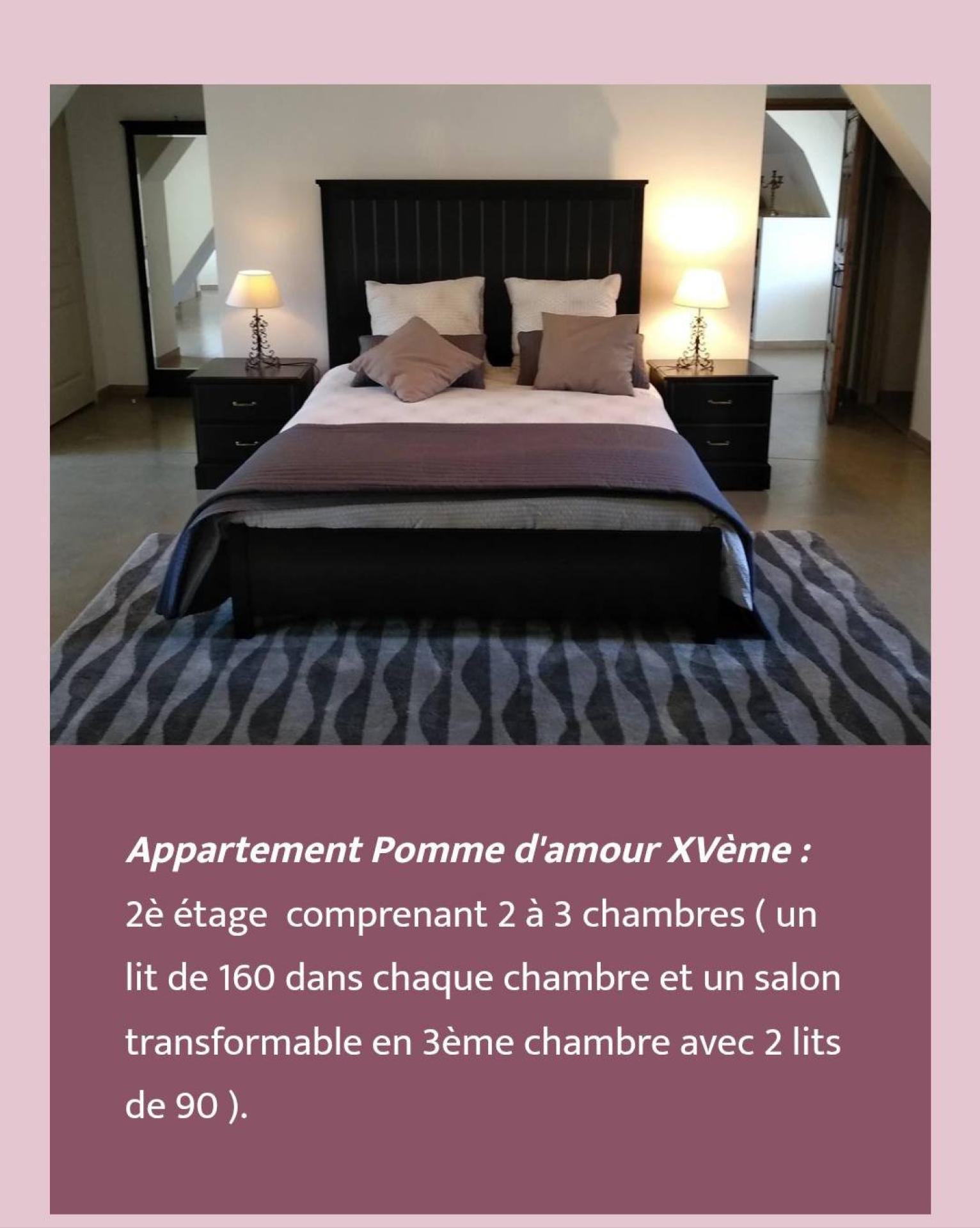 Photo 13 de l'annonce.