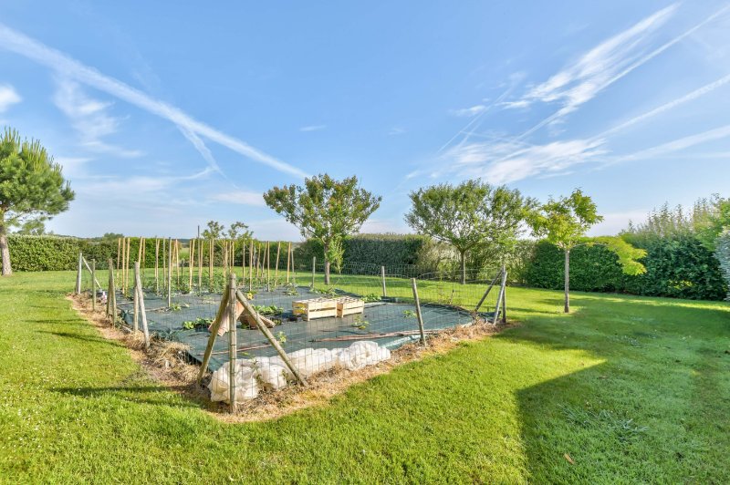 Photo 12 of the listing.