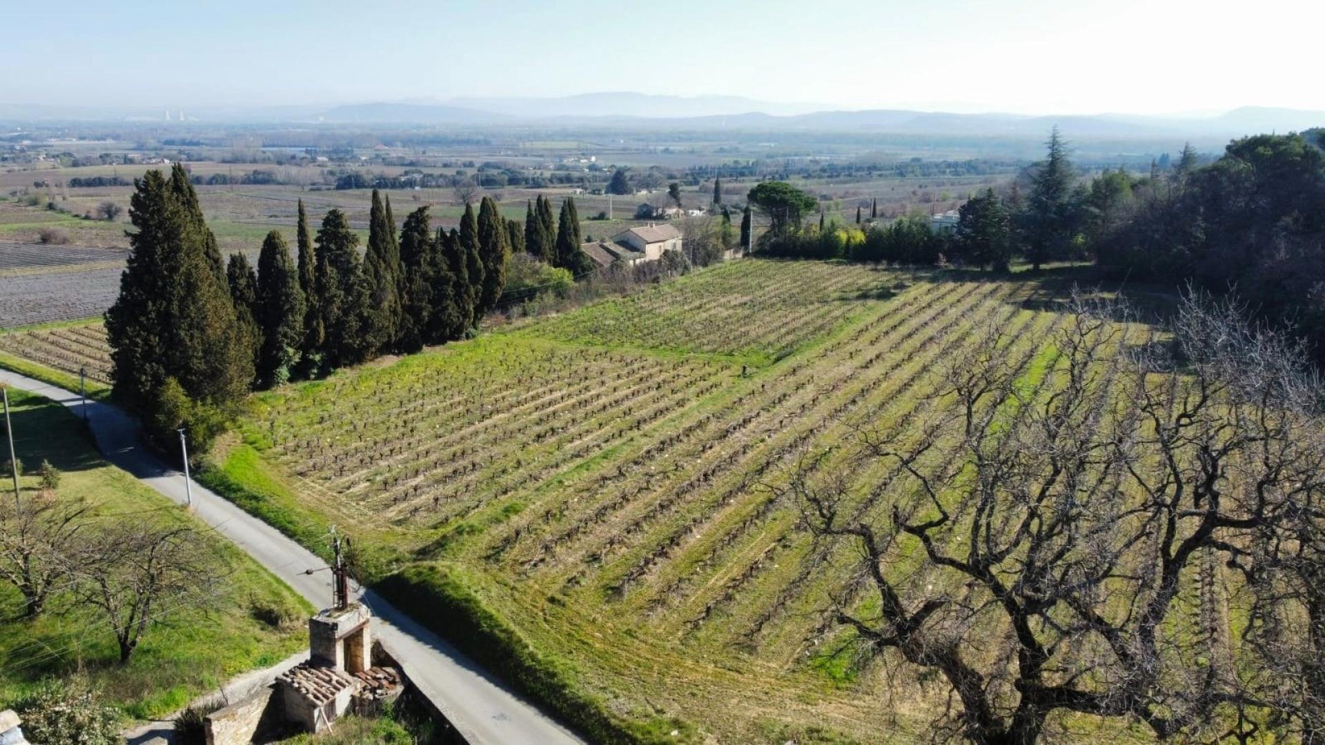 Photo 11 de l'annonce.