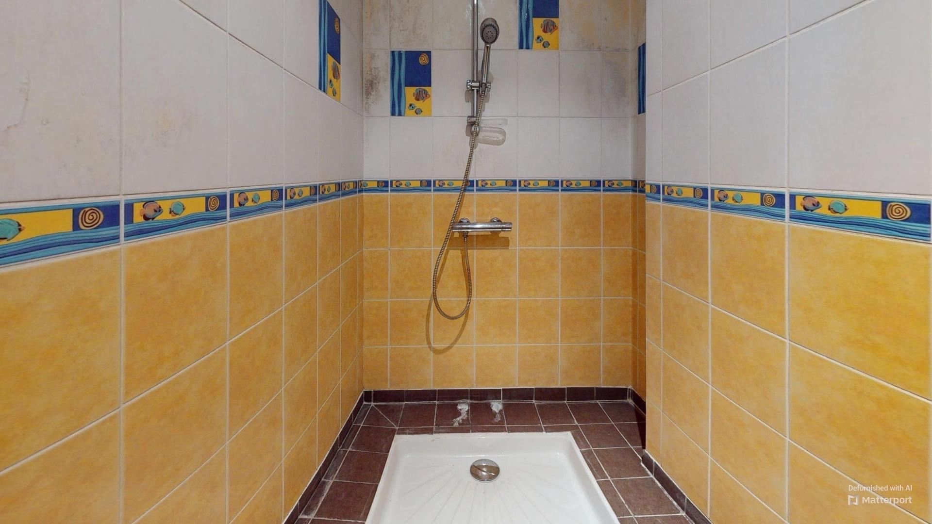 Photo 9 de l'annonce.