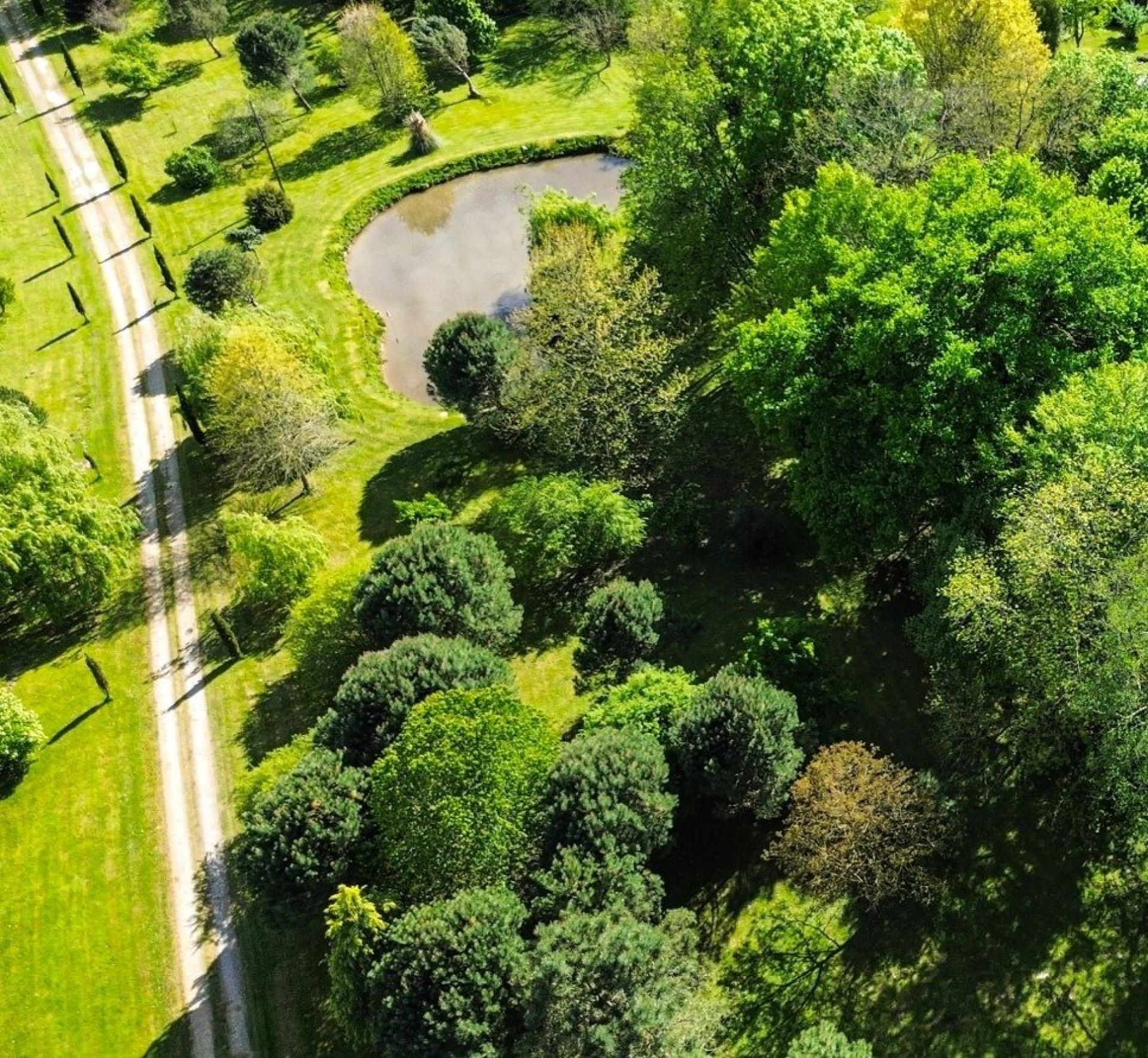 Photo 2 de l'annonce.