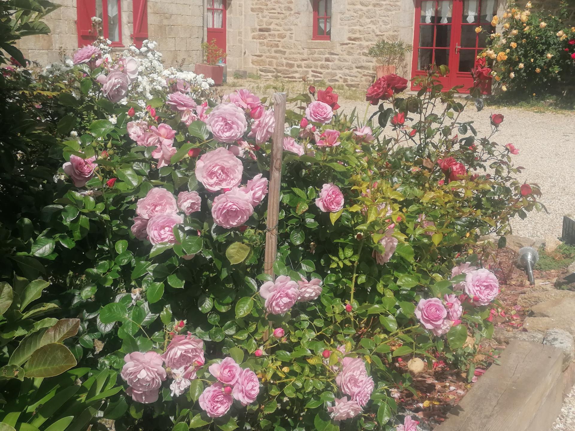 Photo 15 of the listing.