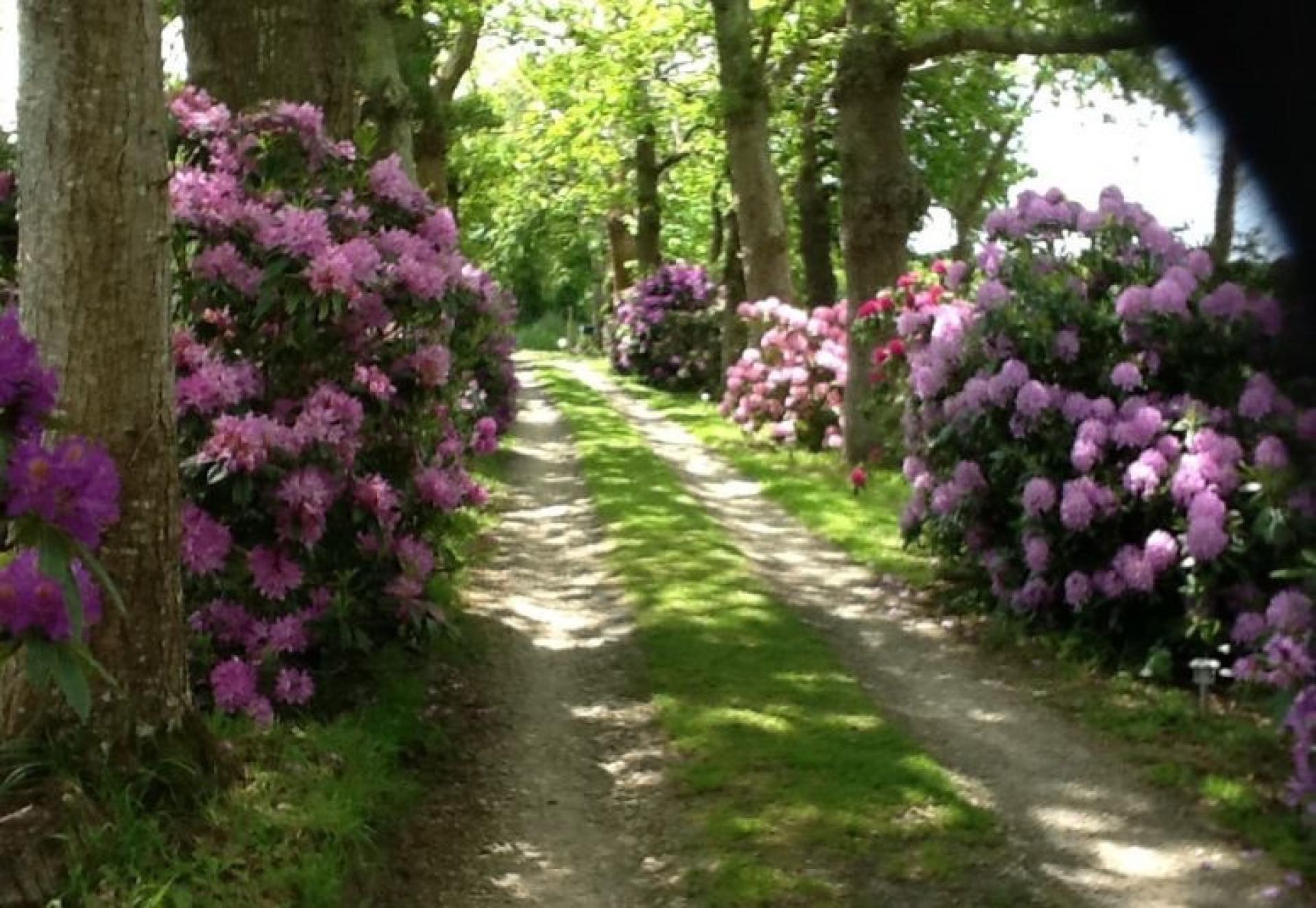 Photo 3 of the listing.