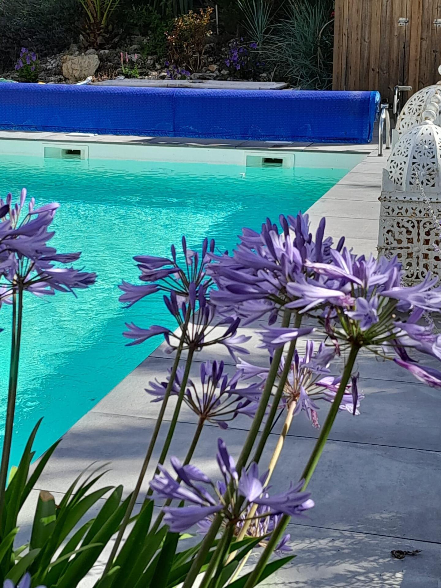 Photo 15 of the listing.