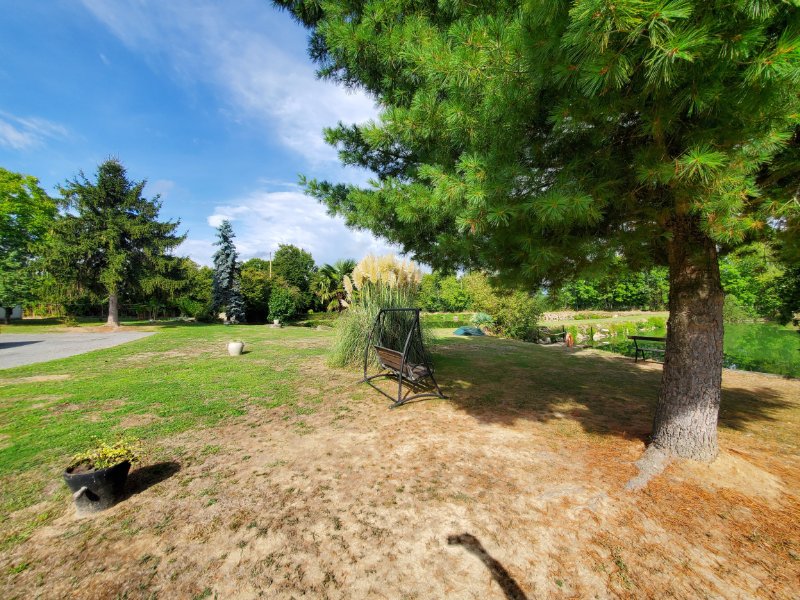 Photo 8 de l'annonce.