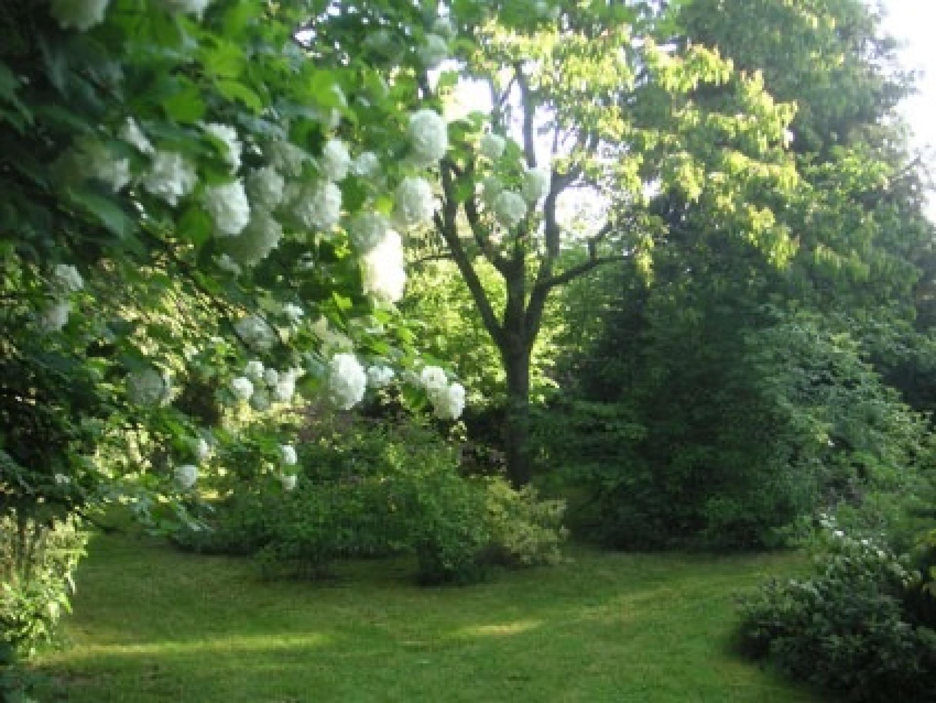 Photo 5 of the listing.