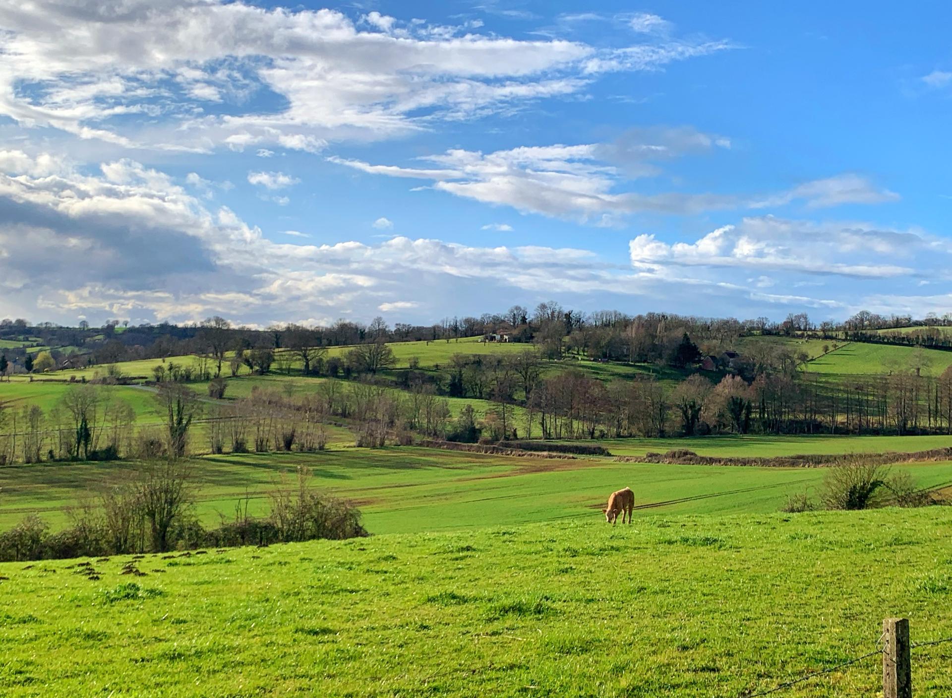 Photo 19 de l'annonce.