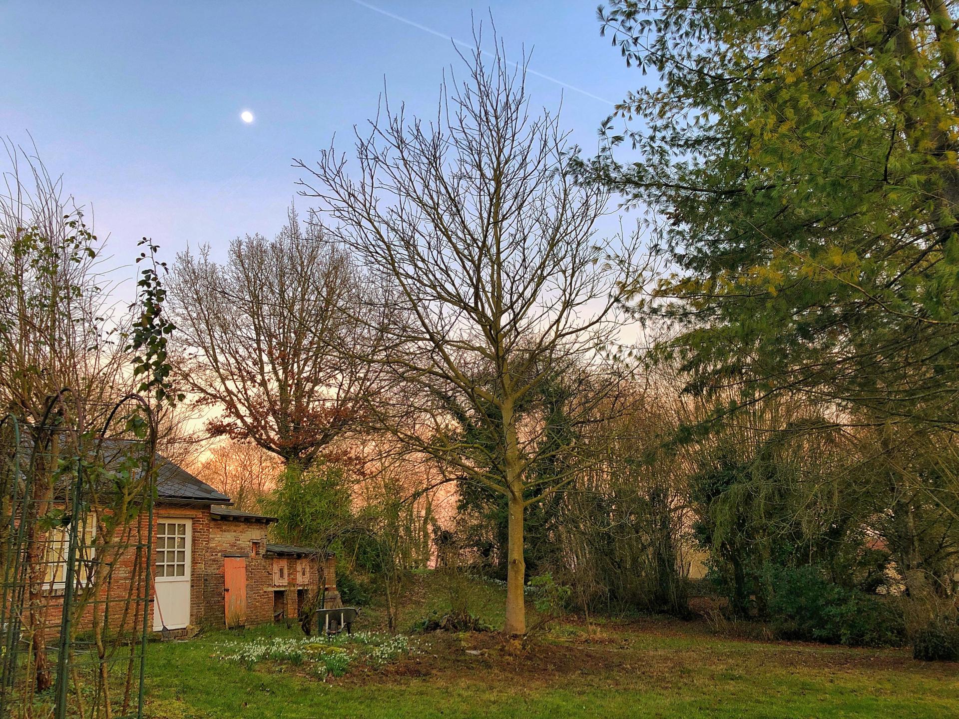 Photo 21 de l'annonce.