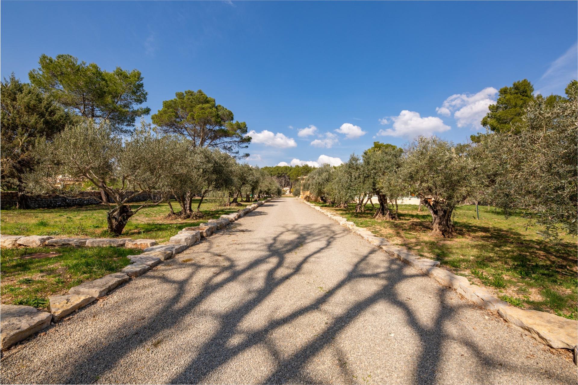 Photo 13 of the listing.