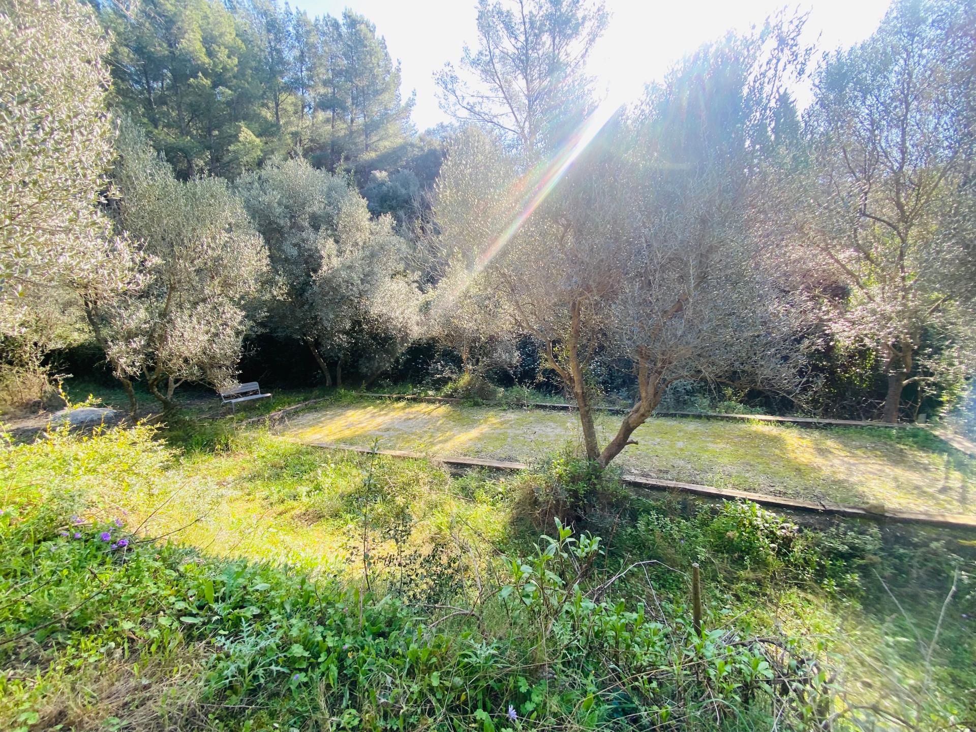 Photo 15 de l'annonce.