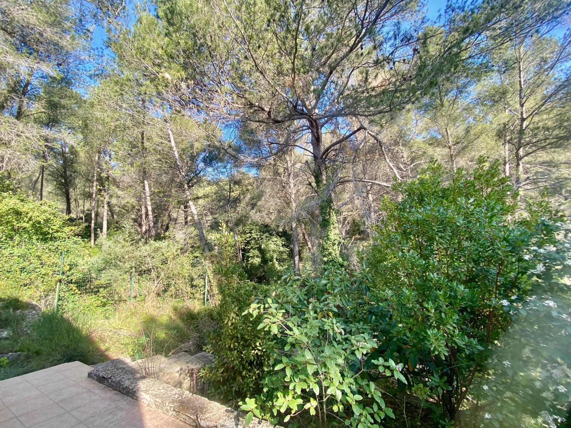 Photo 9 de l'annonce.