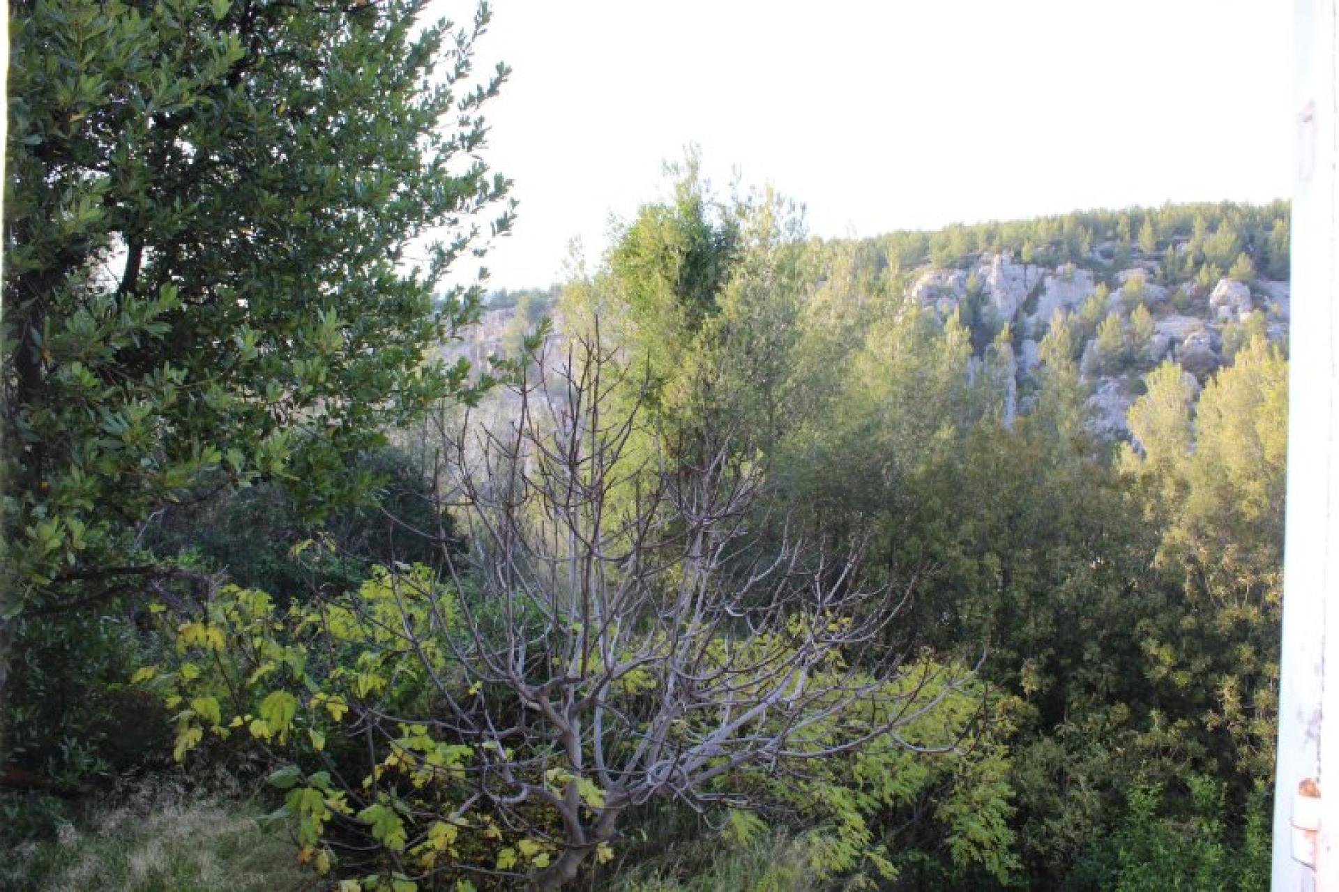 Photo 10 of the listing.