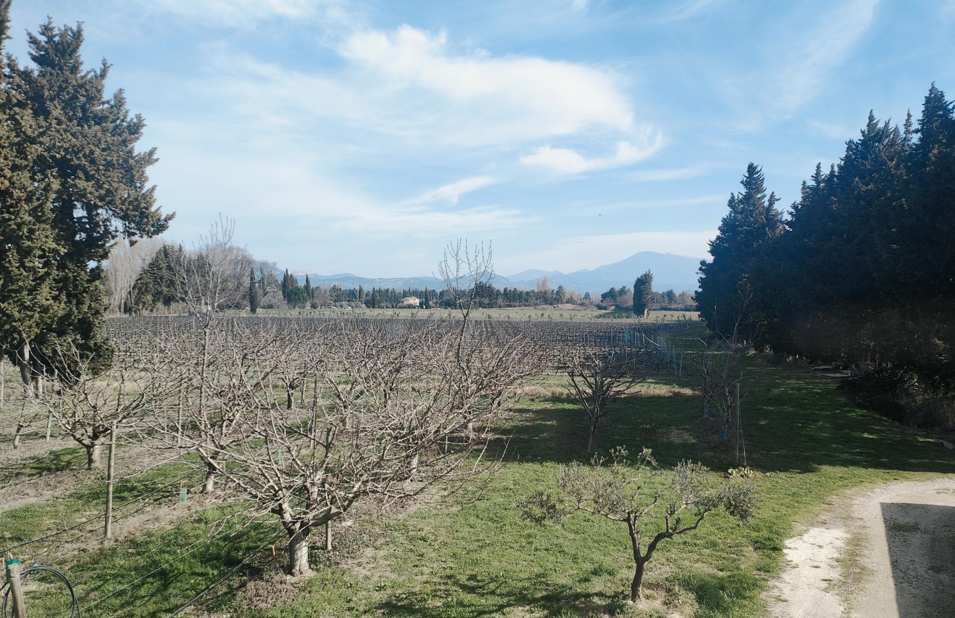 Photo 3 of the listing.