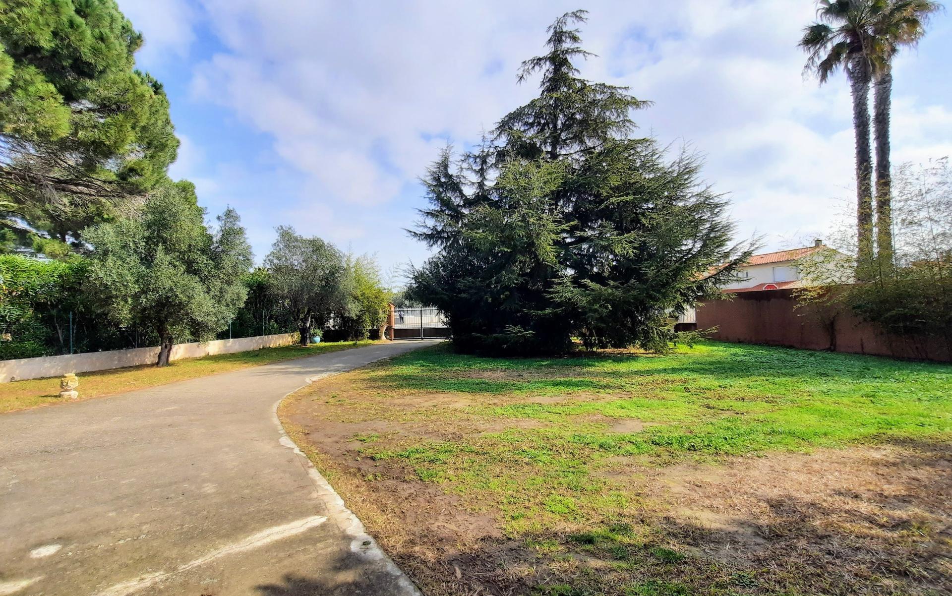 Photo 6 de l'annonce.