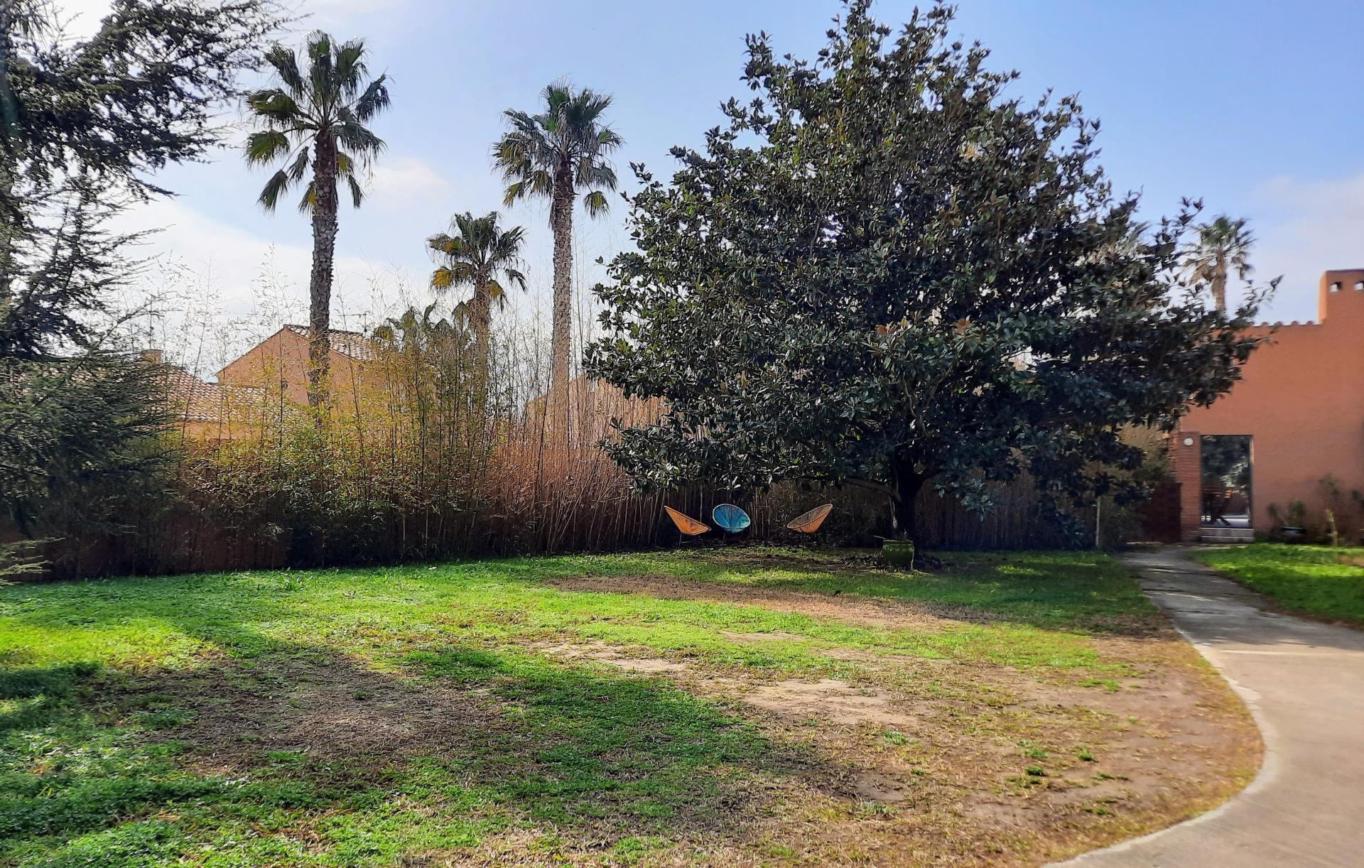 Photo 5 de l'annonce.