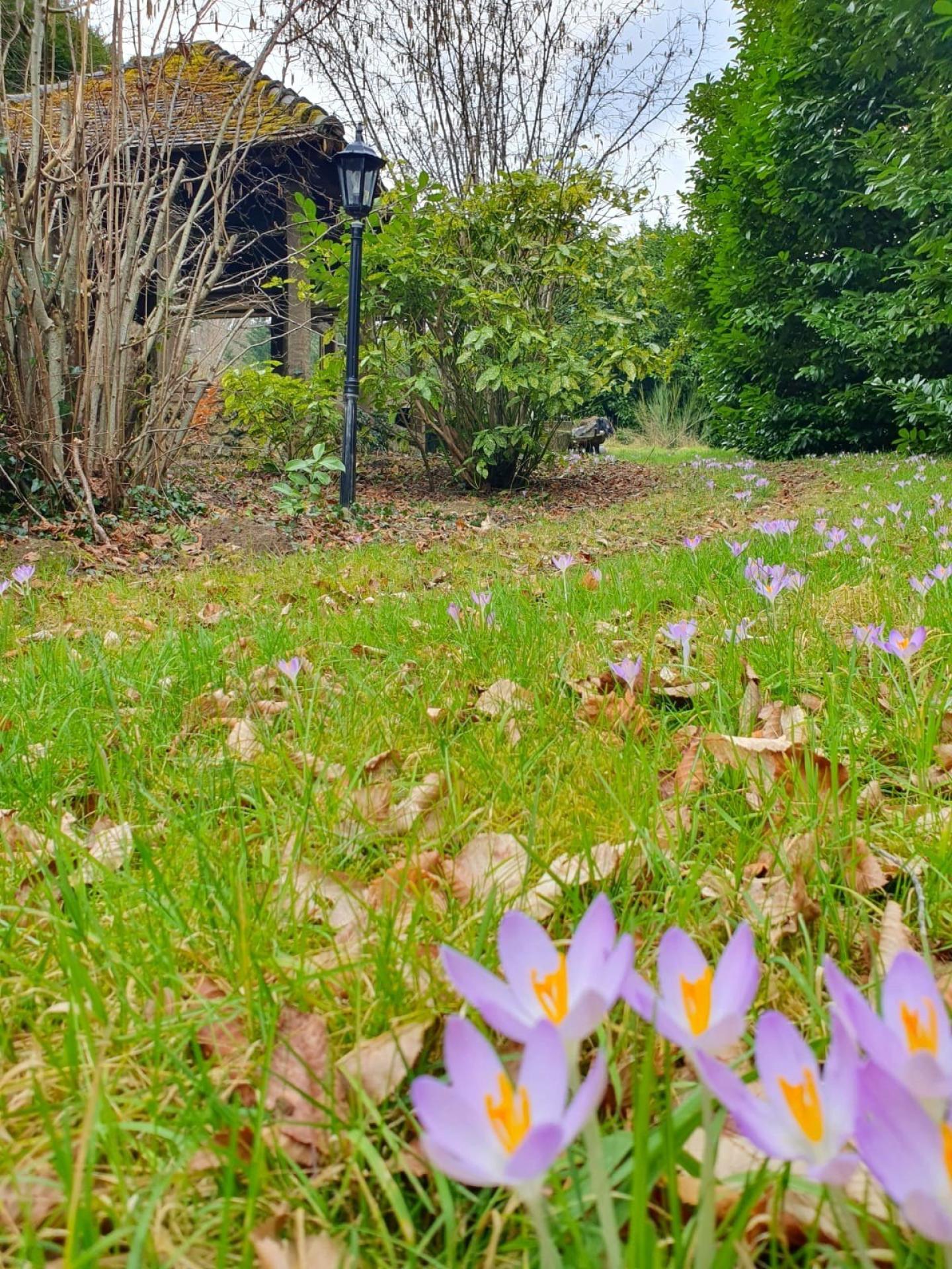 Photo 21 of the listing.