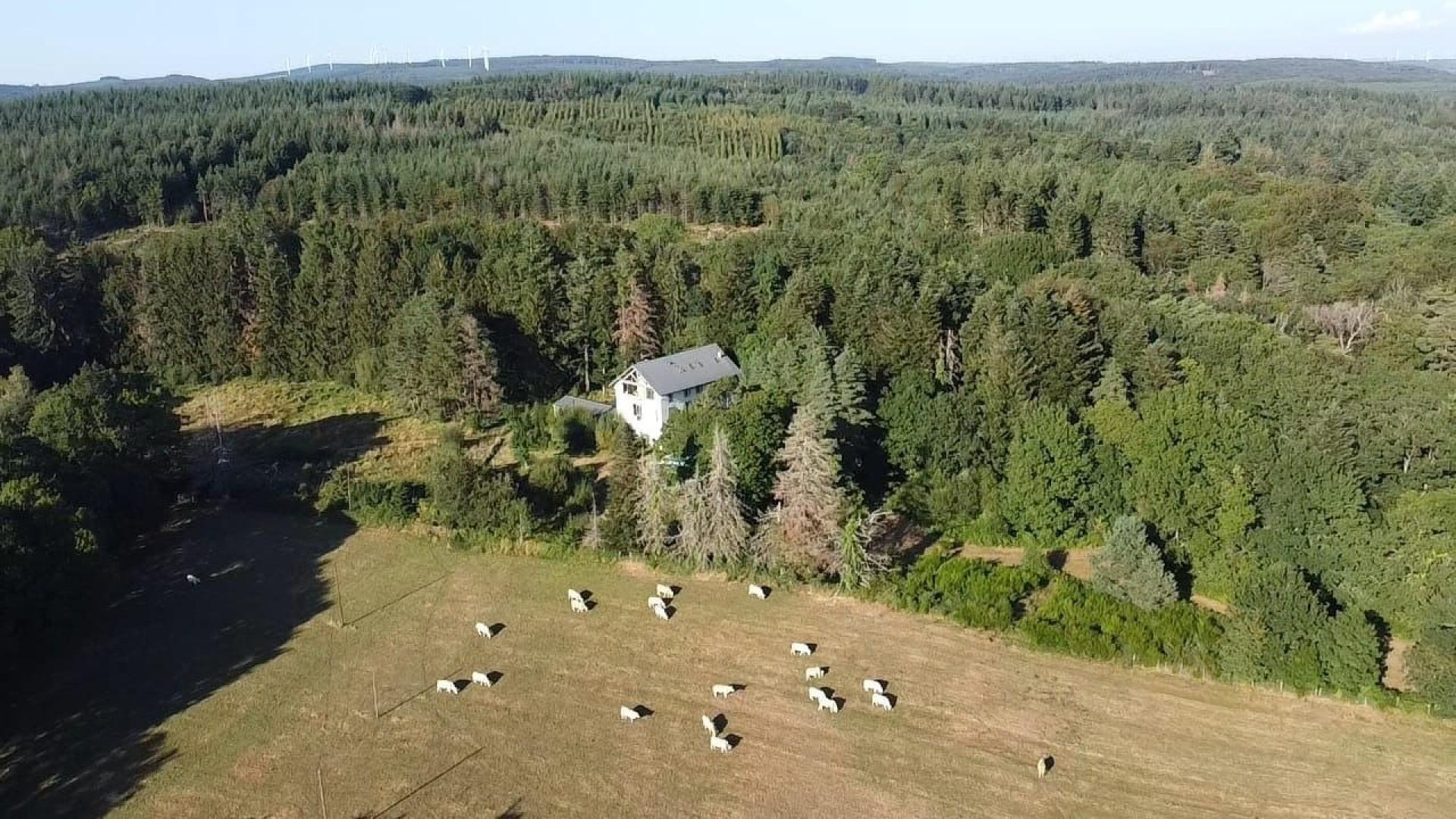 Photo 21 de l'annonce.