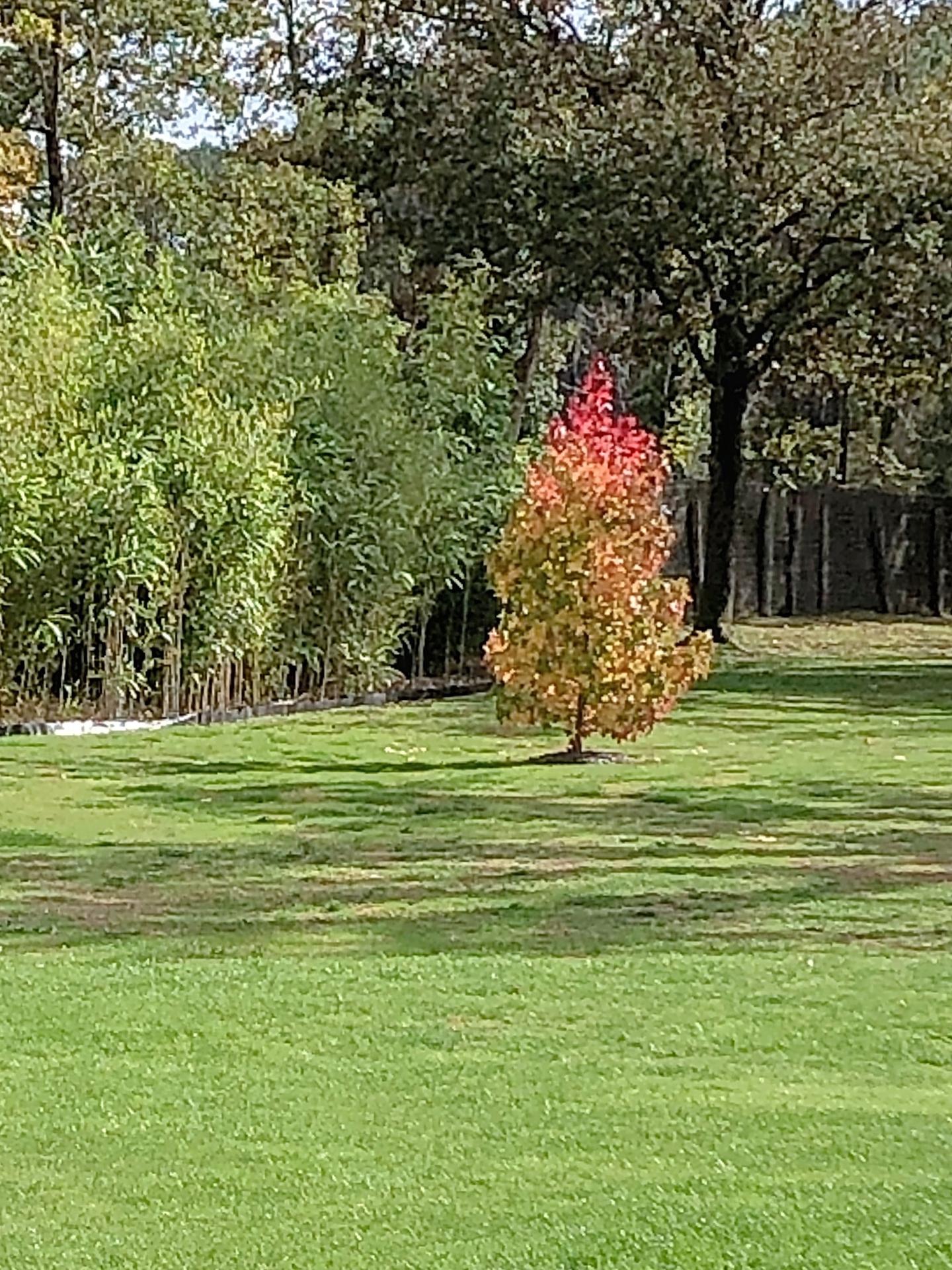 Photo 8 of the listing.