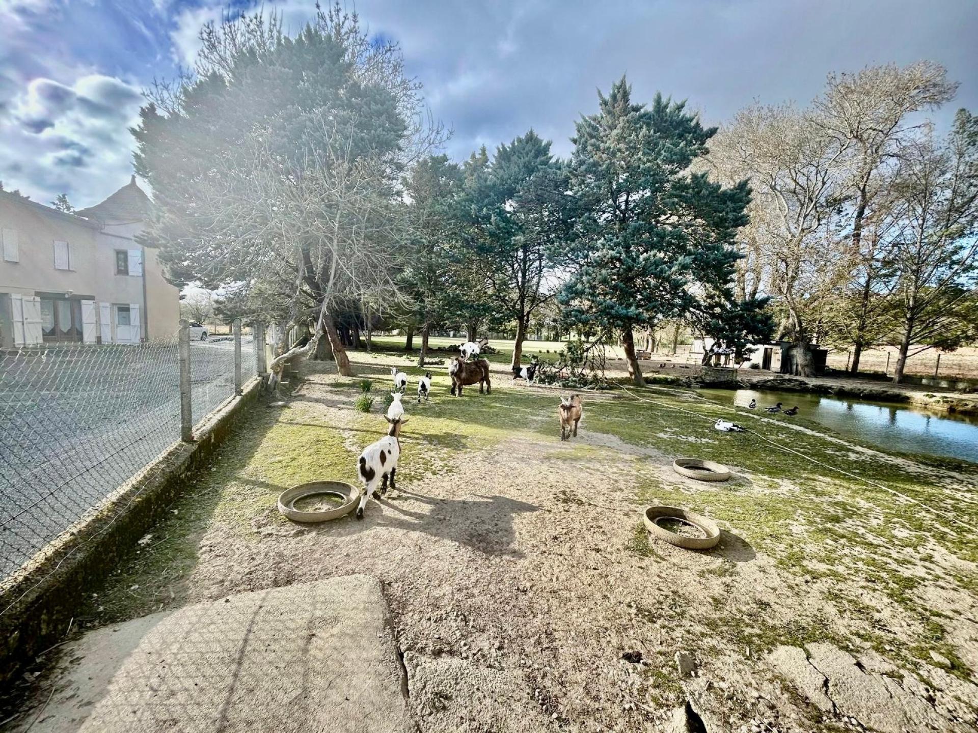 Photo 10 of the listing.