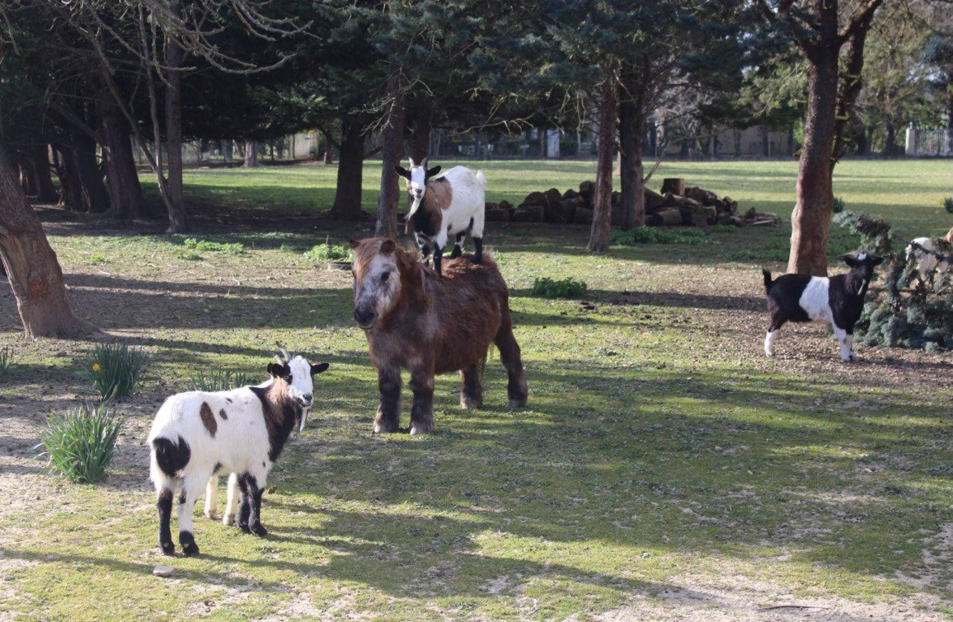 Photo 9 of the listing.