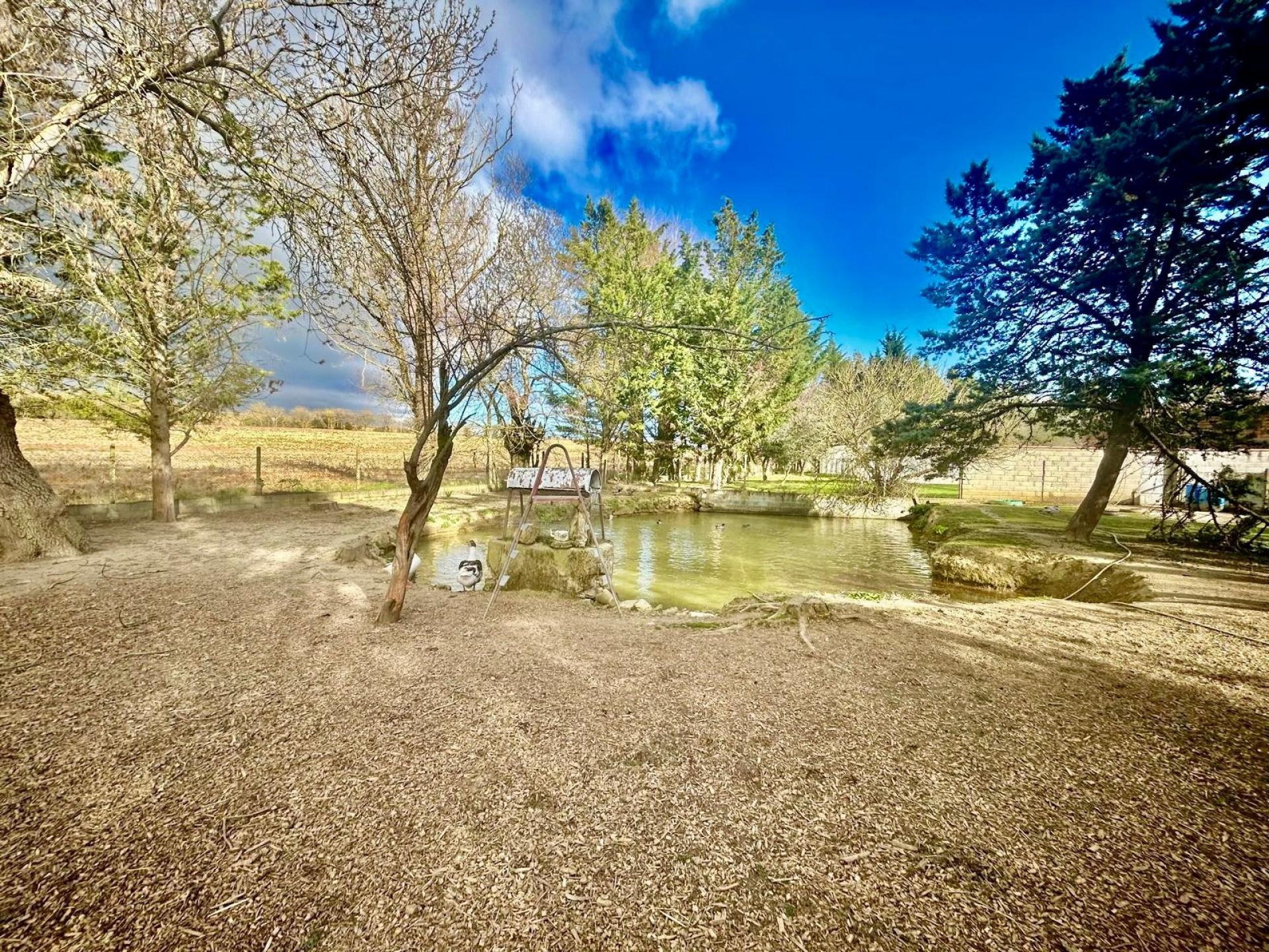 Photo 11 of the listing.