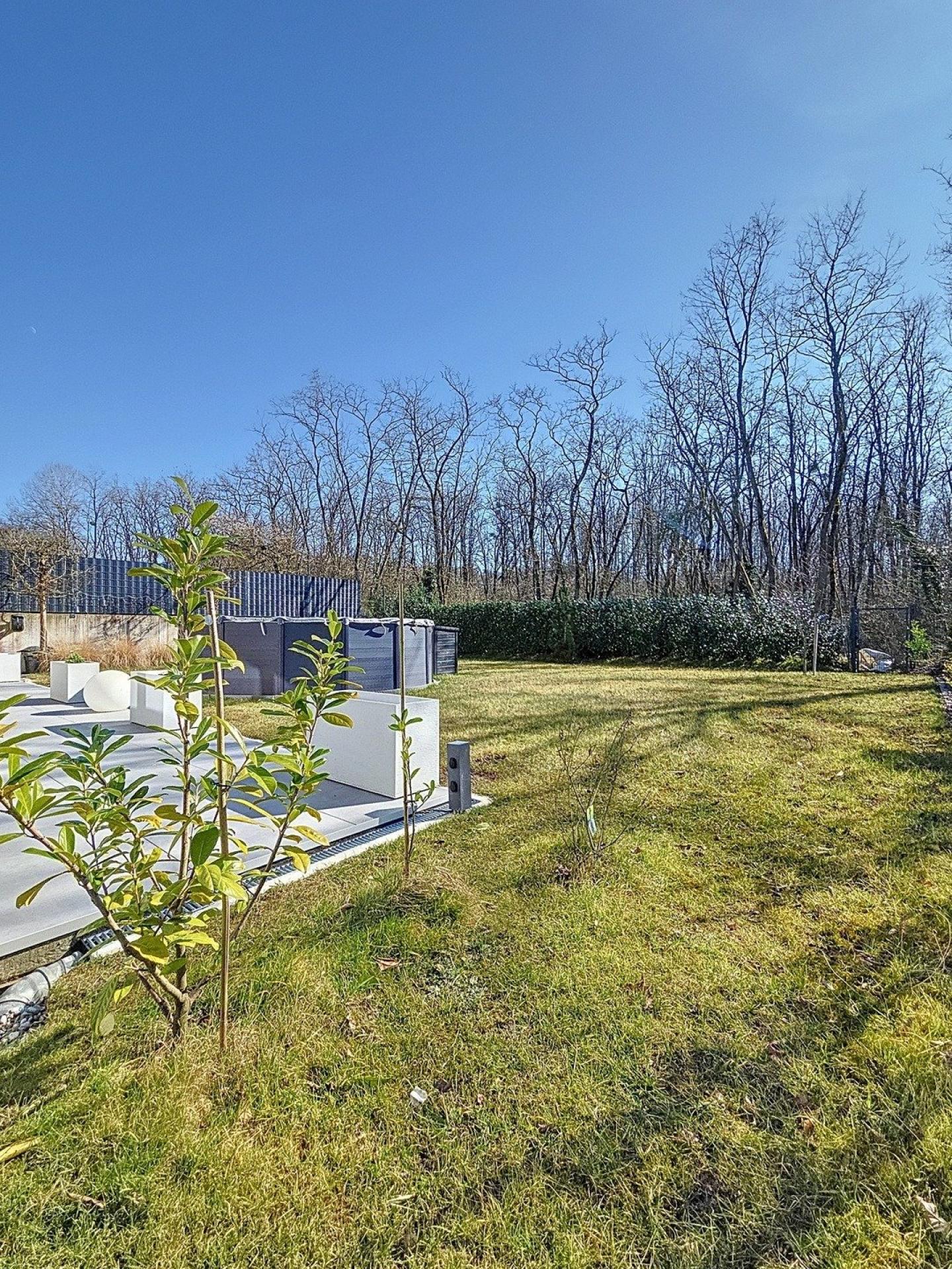 Photo 13 de l'annonce.