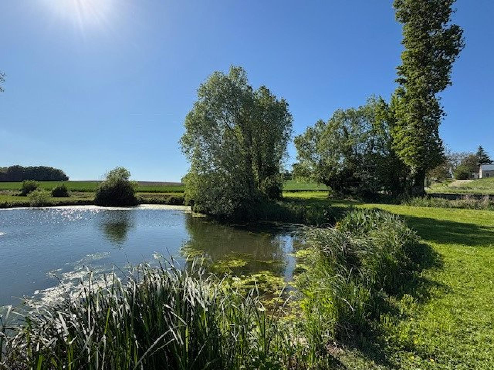 Photo 3 de l'annonce.