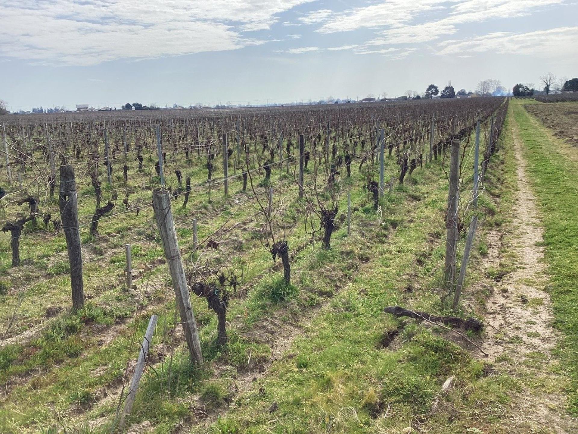 Photo 4 of the listing.