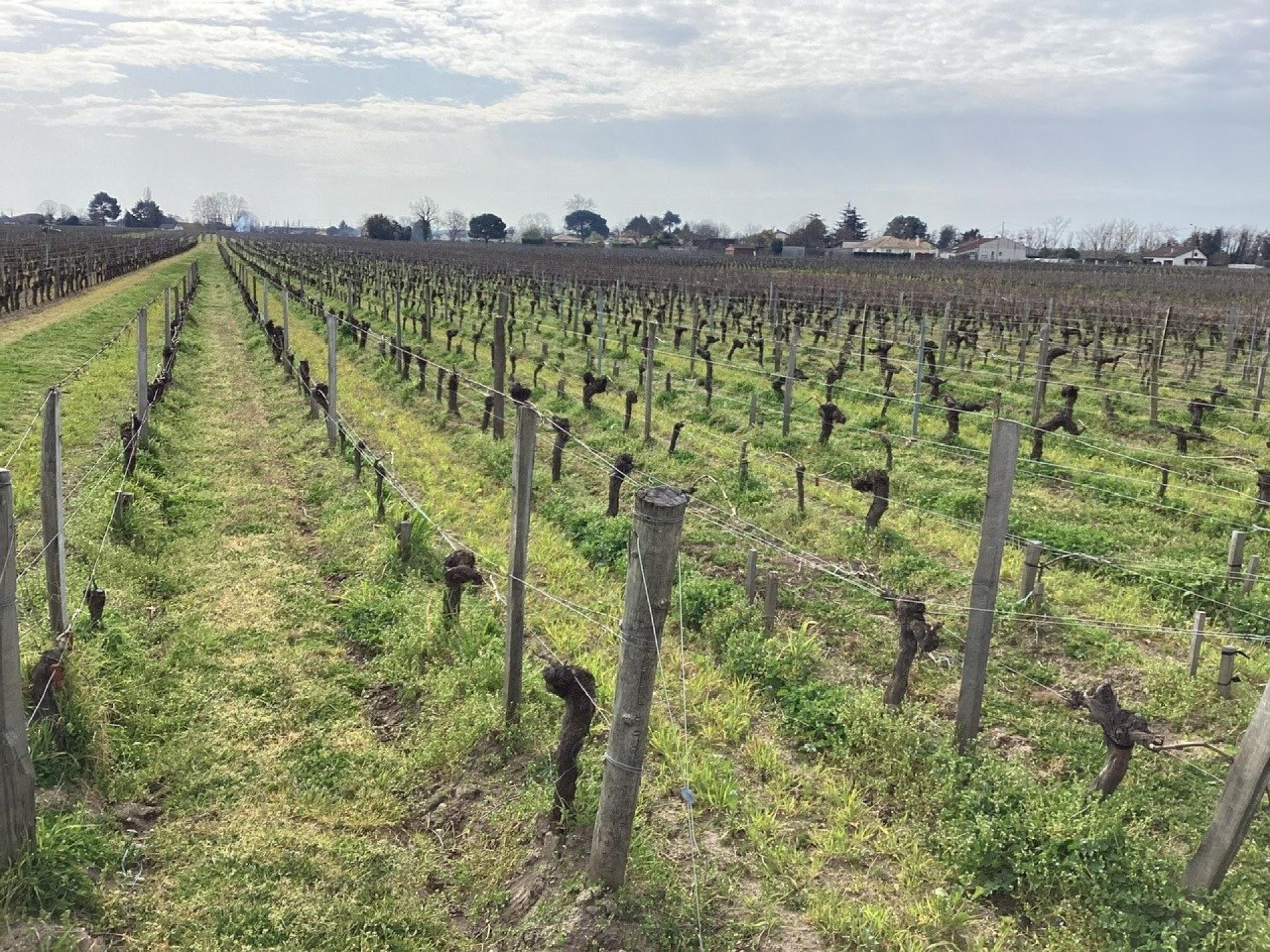 Photo 3 of the listing.