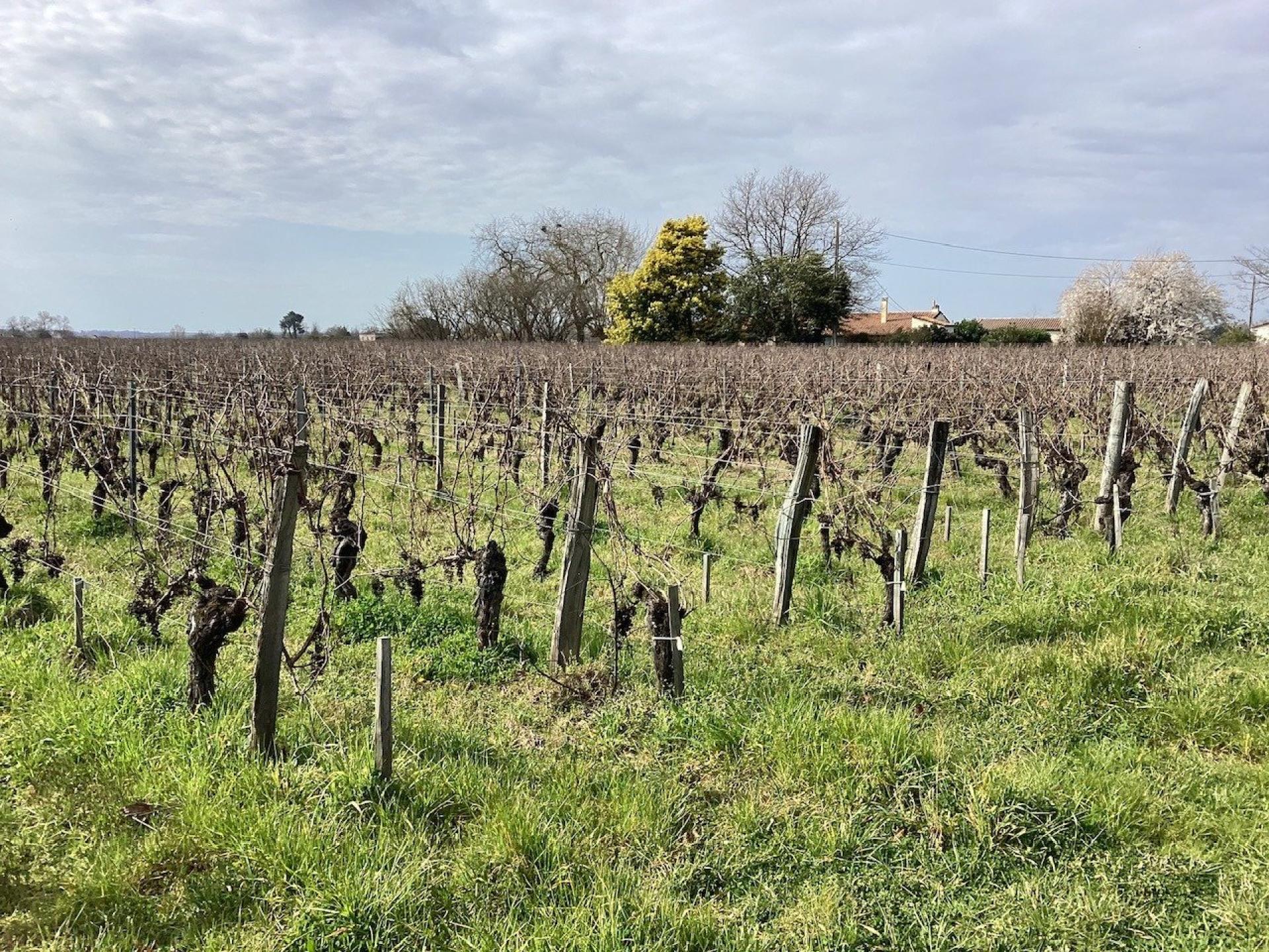 Photo 2 of the listing.