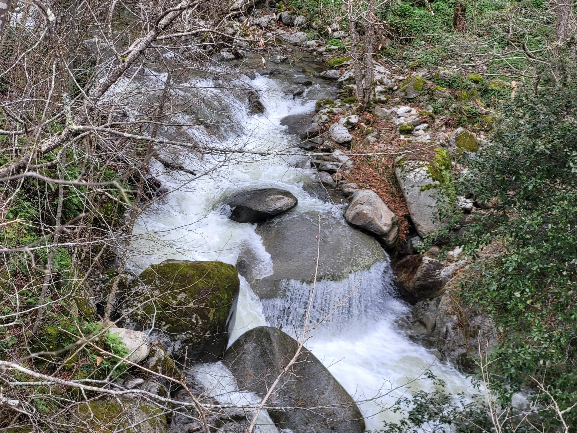 Photo 21 de l'annonce.