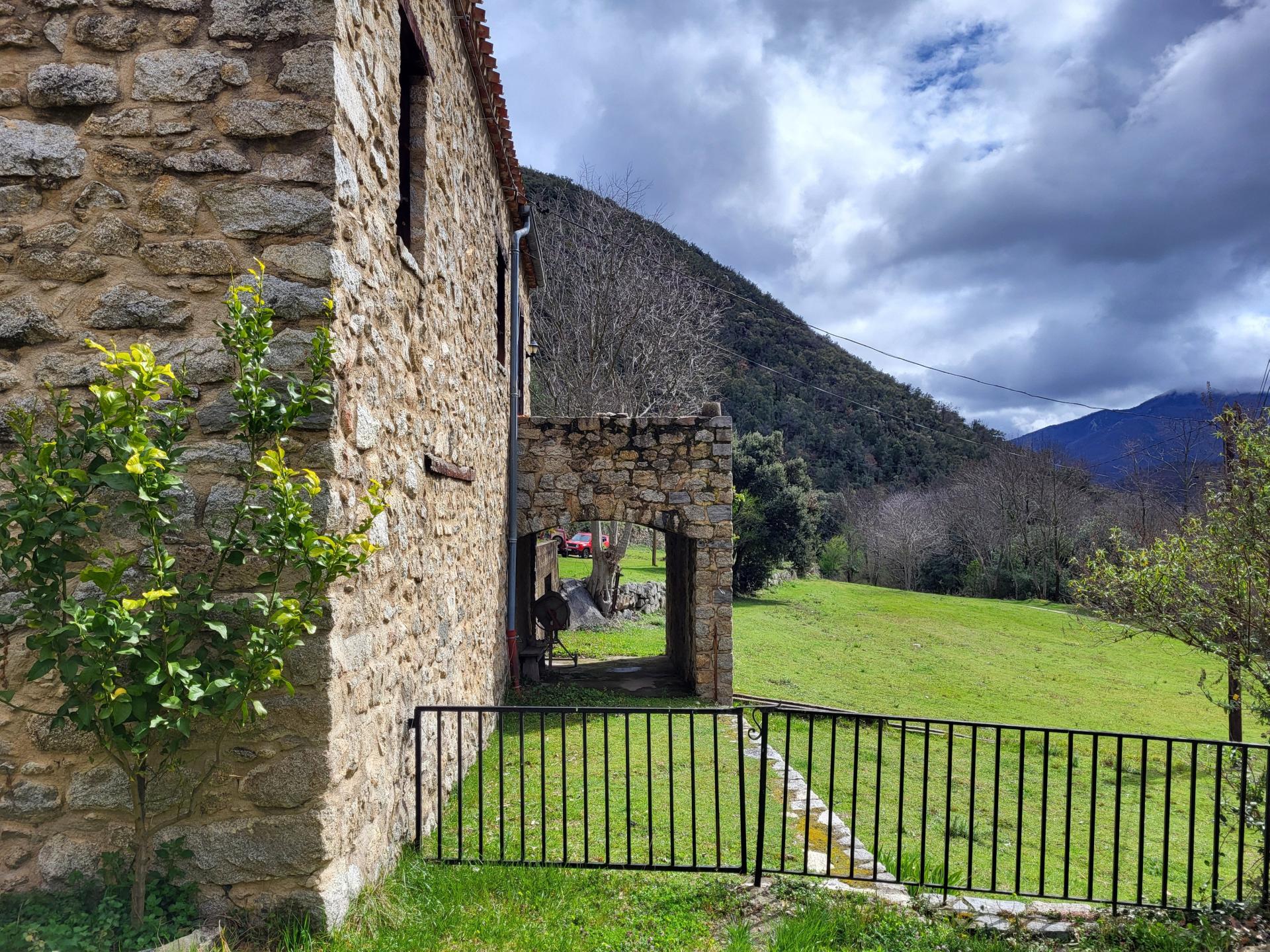 Photo 9 de l'annonce.